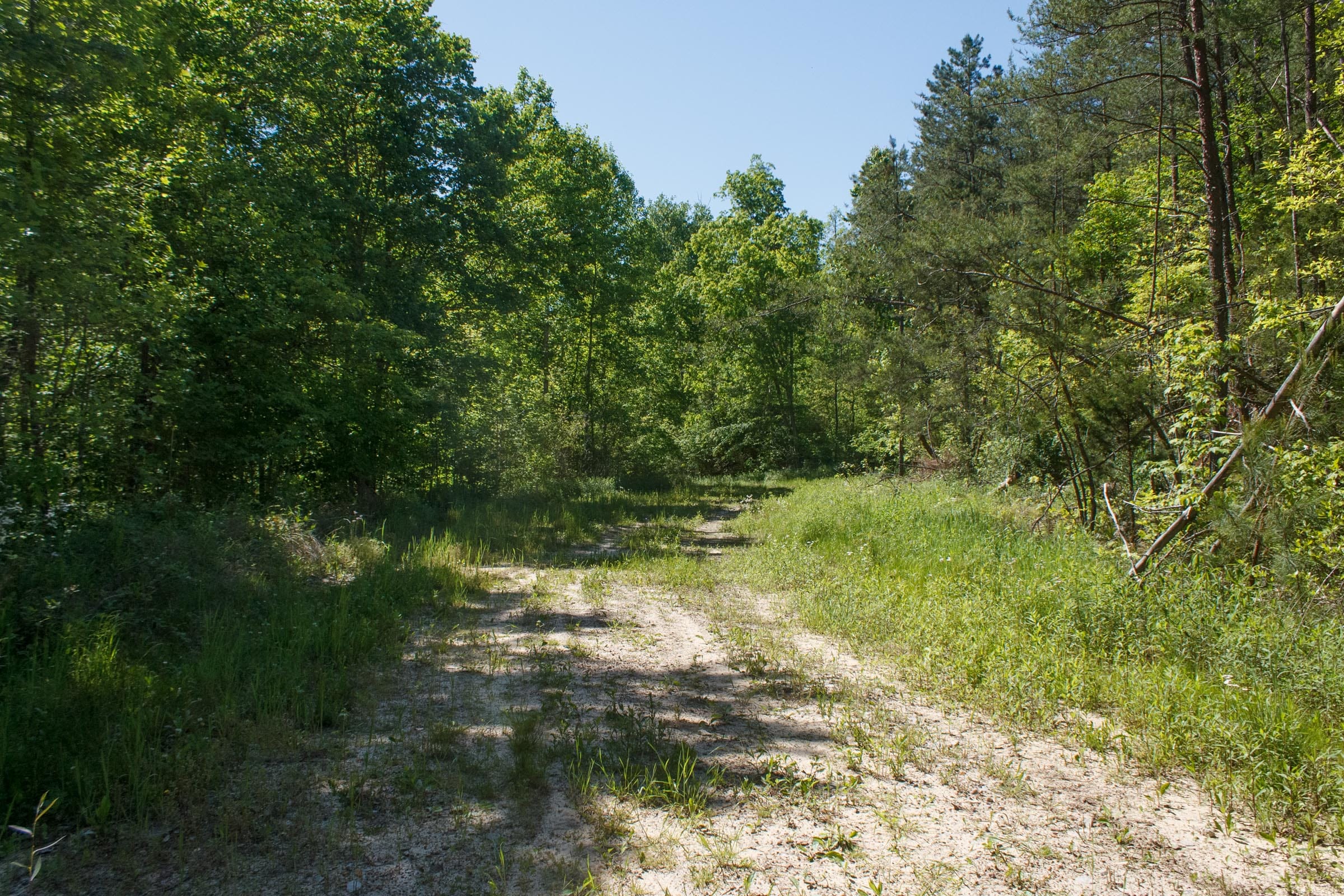 Riverbend Tract 11 photo 10
