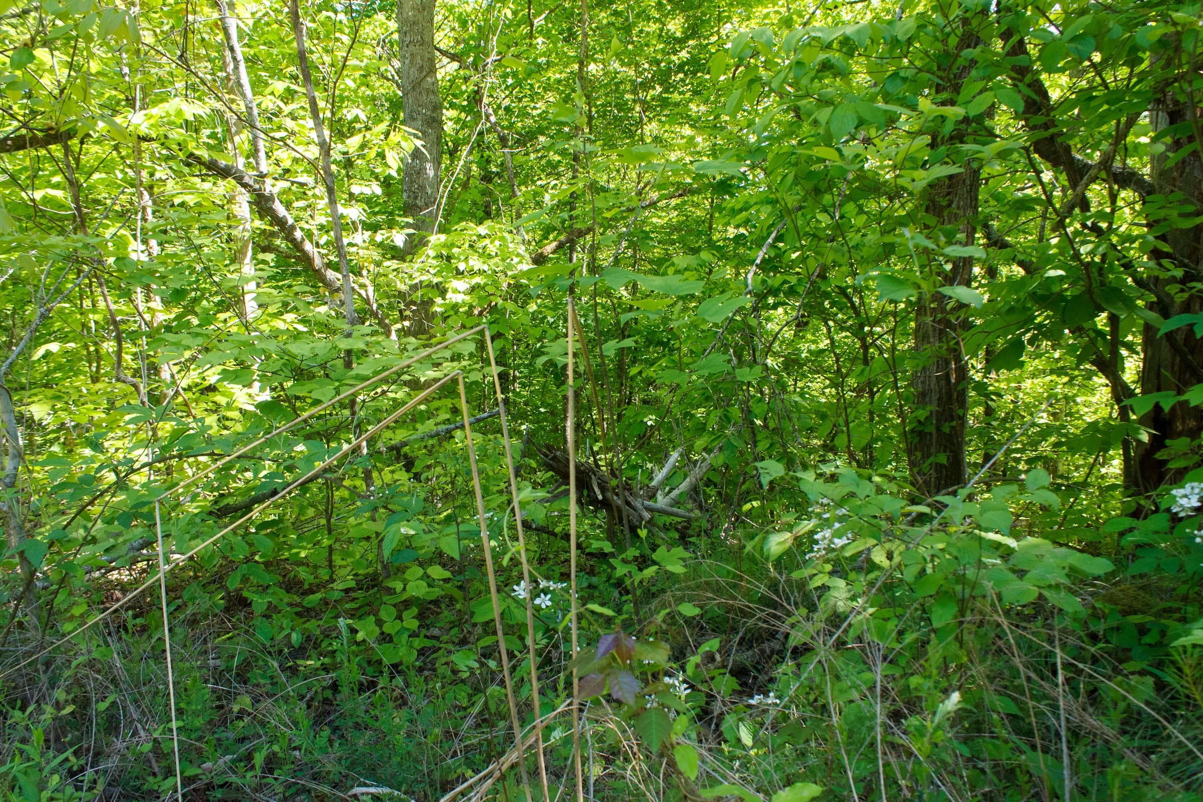 Riverbend Tract 11 photo 12