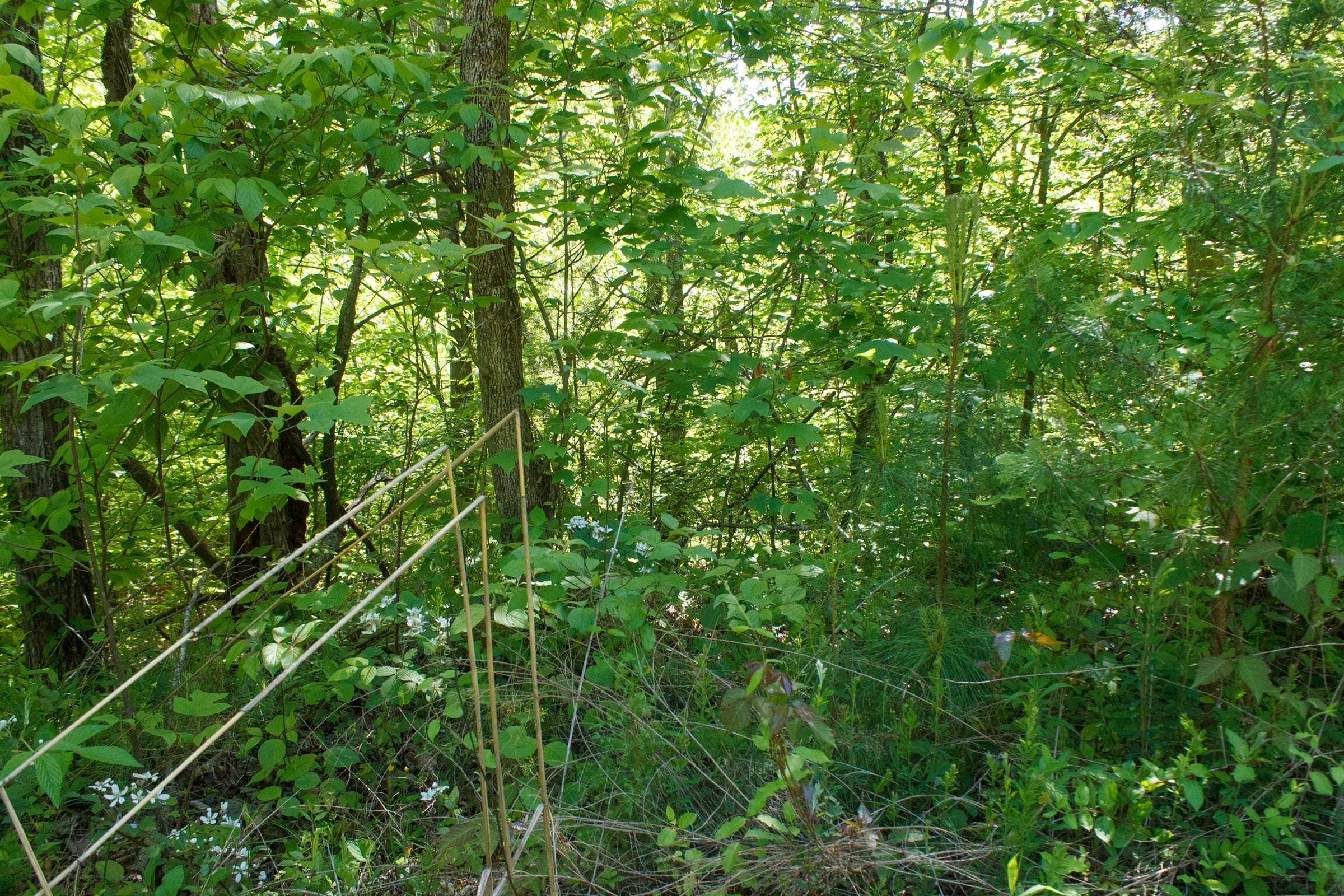 Riverbend Tract 11 photo 13