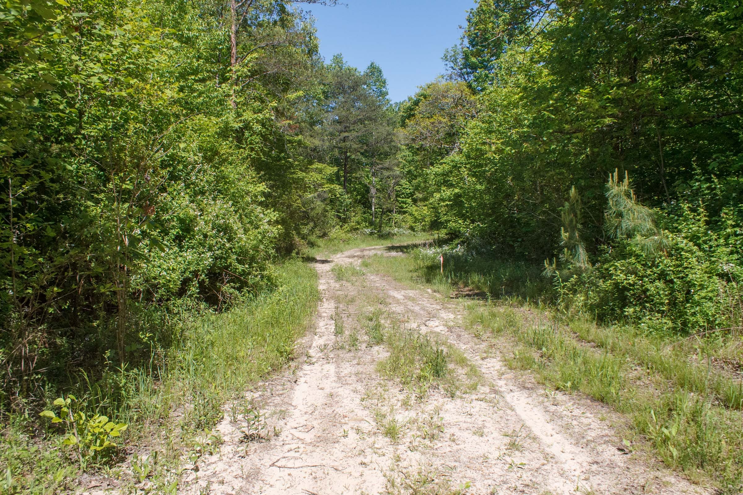 Riverbend Tract 11 photo 16