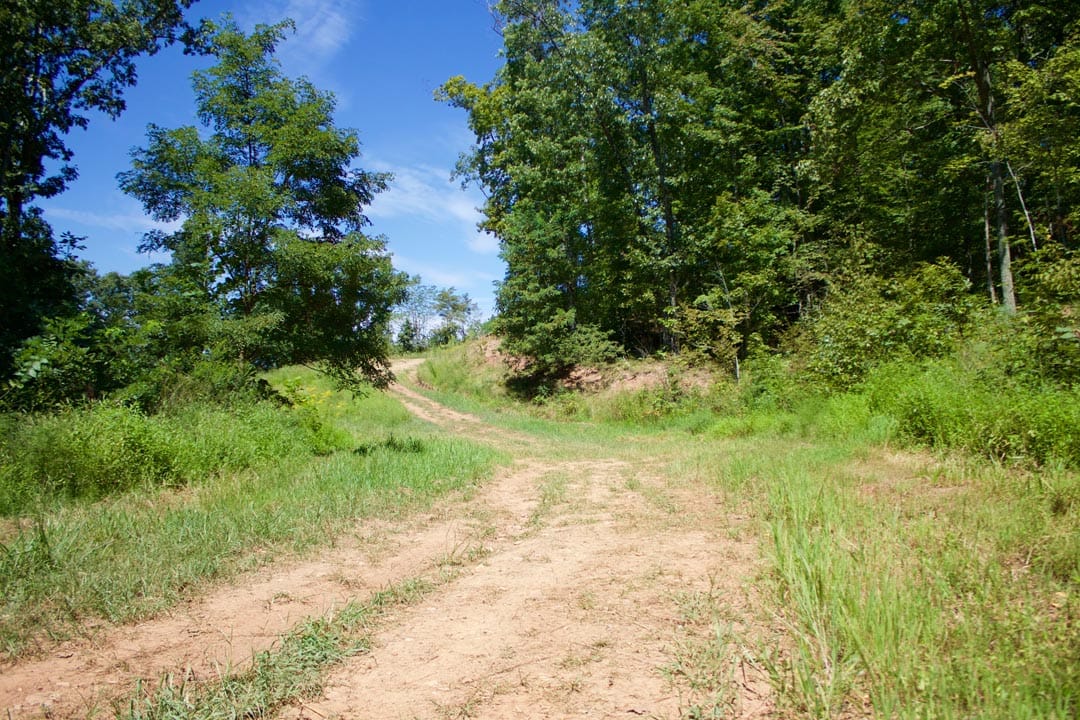 Heritage Hollow Tract 1 photo 1