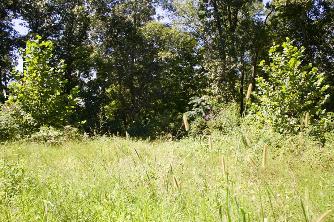 Heritage Hollow Tract 1 photo 4