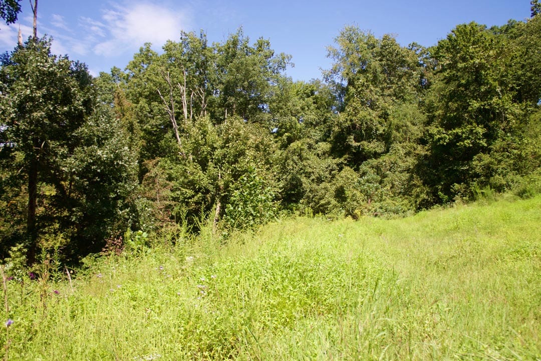 Heritage Hollow Tract 1 photo 6