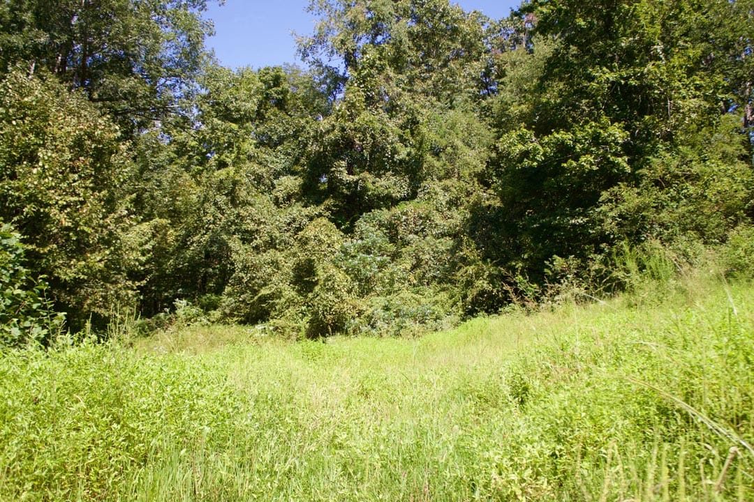 Heritage Hollow Tract 1 photo 12