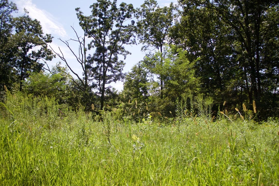 Heritage Hollow Tract 1 photo 13