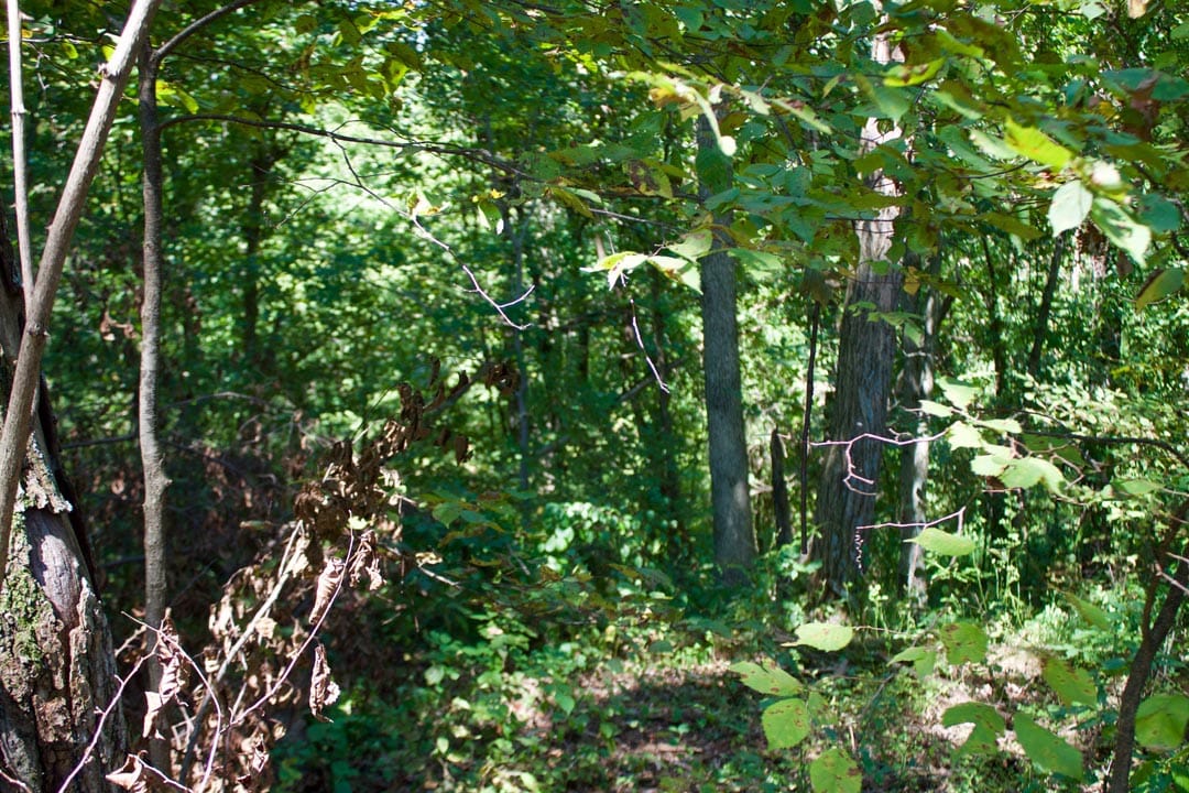 Heritage Hollow Tract 1 photo 15