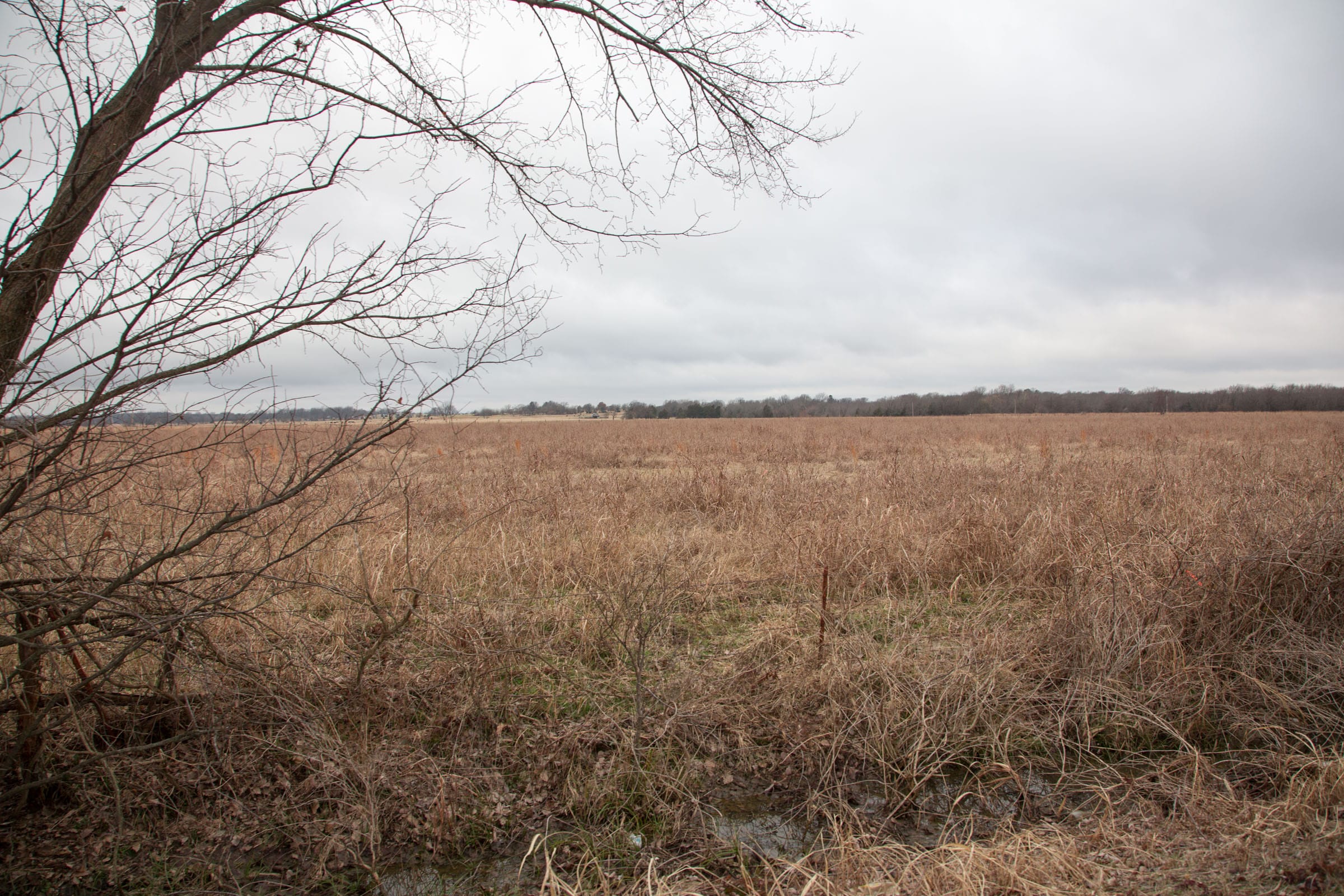 Canadian Plains Tract 11 photo 3