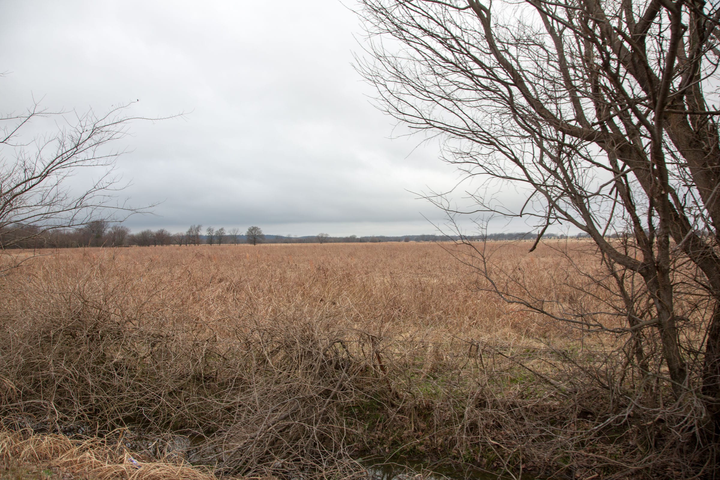Canadian Plains Tract 11 photo 5