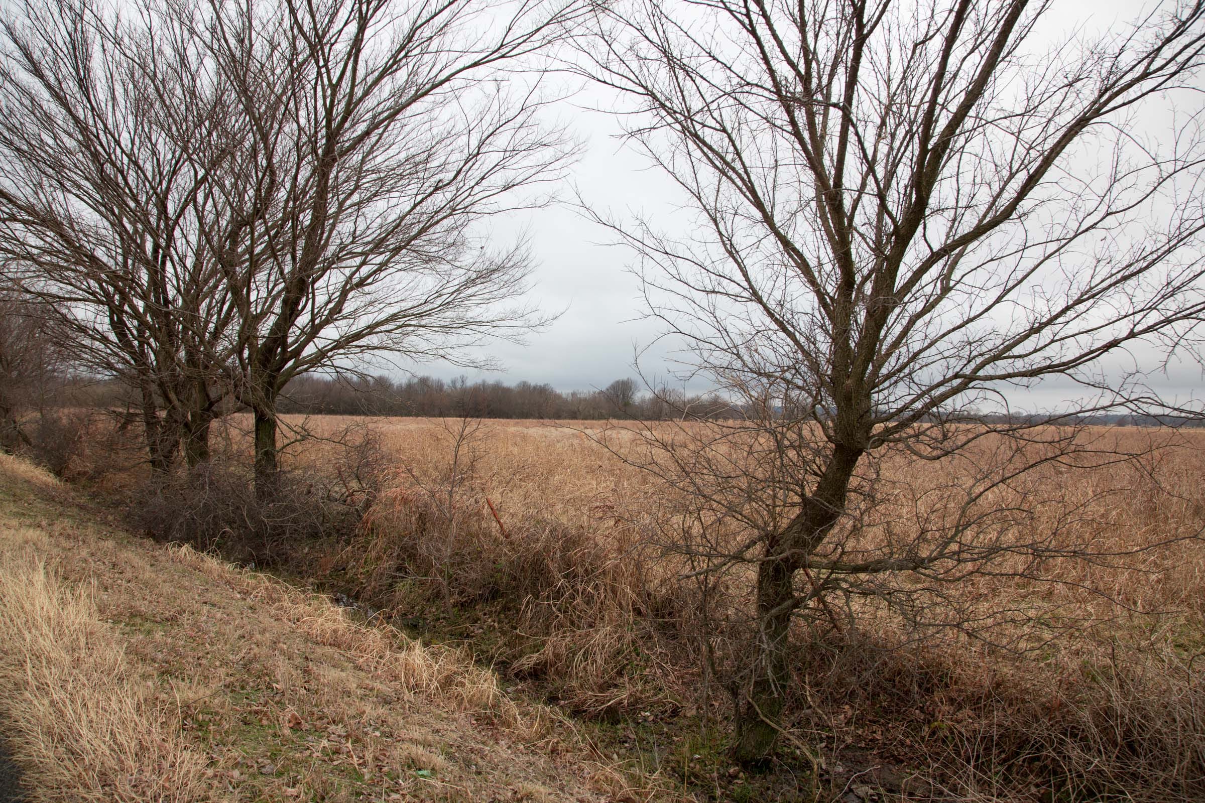 Canadian Plains Tract 11 photo 8