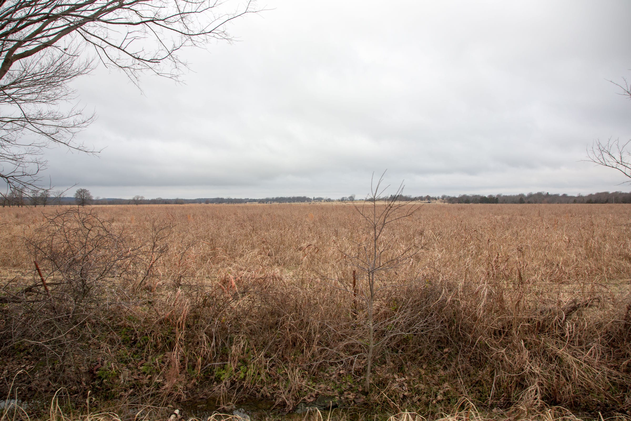 Canadian Plains Tract 11 photo 9