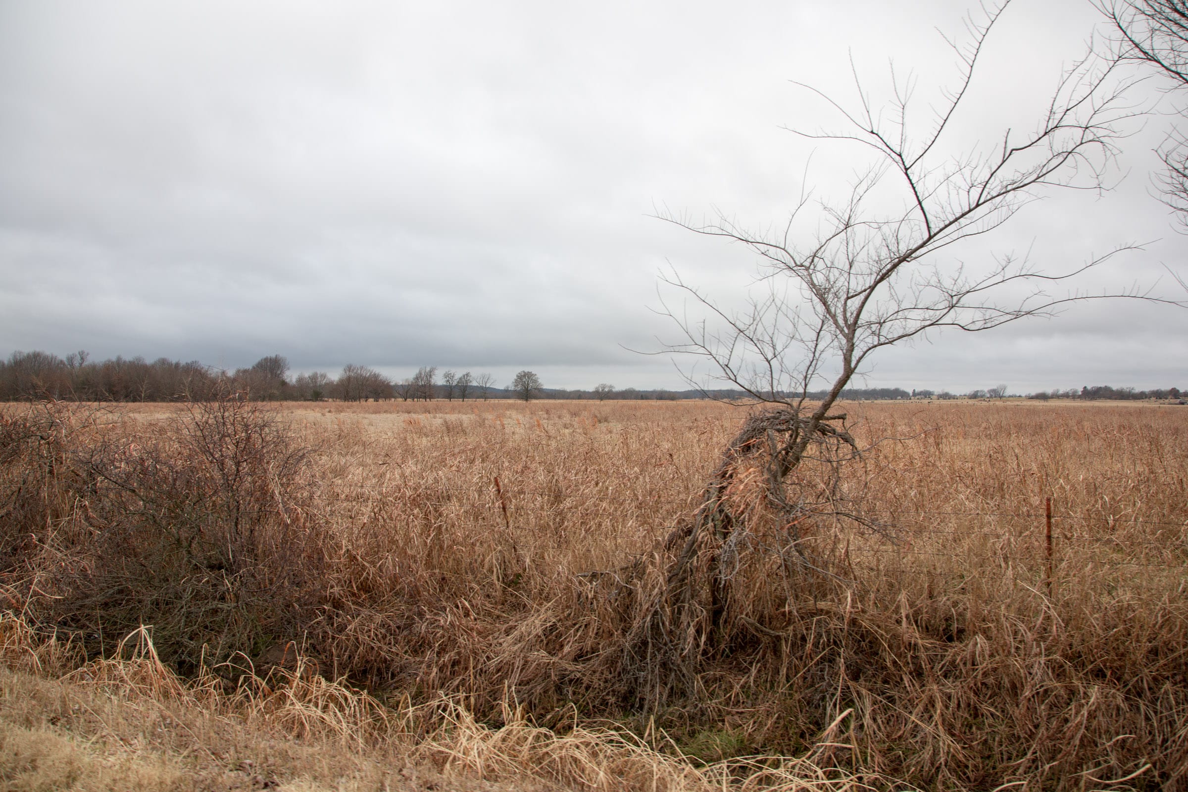 Canadian Plains Tract 11 photo 10