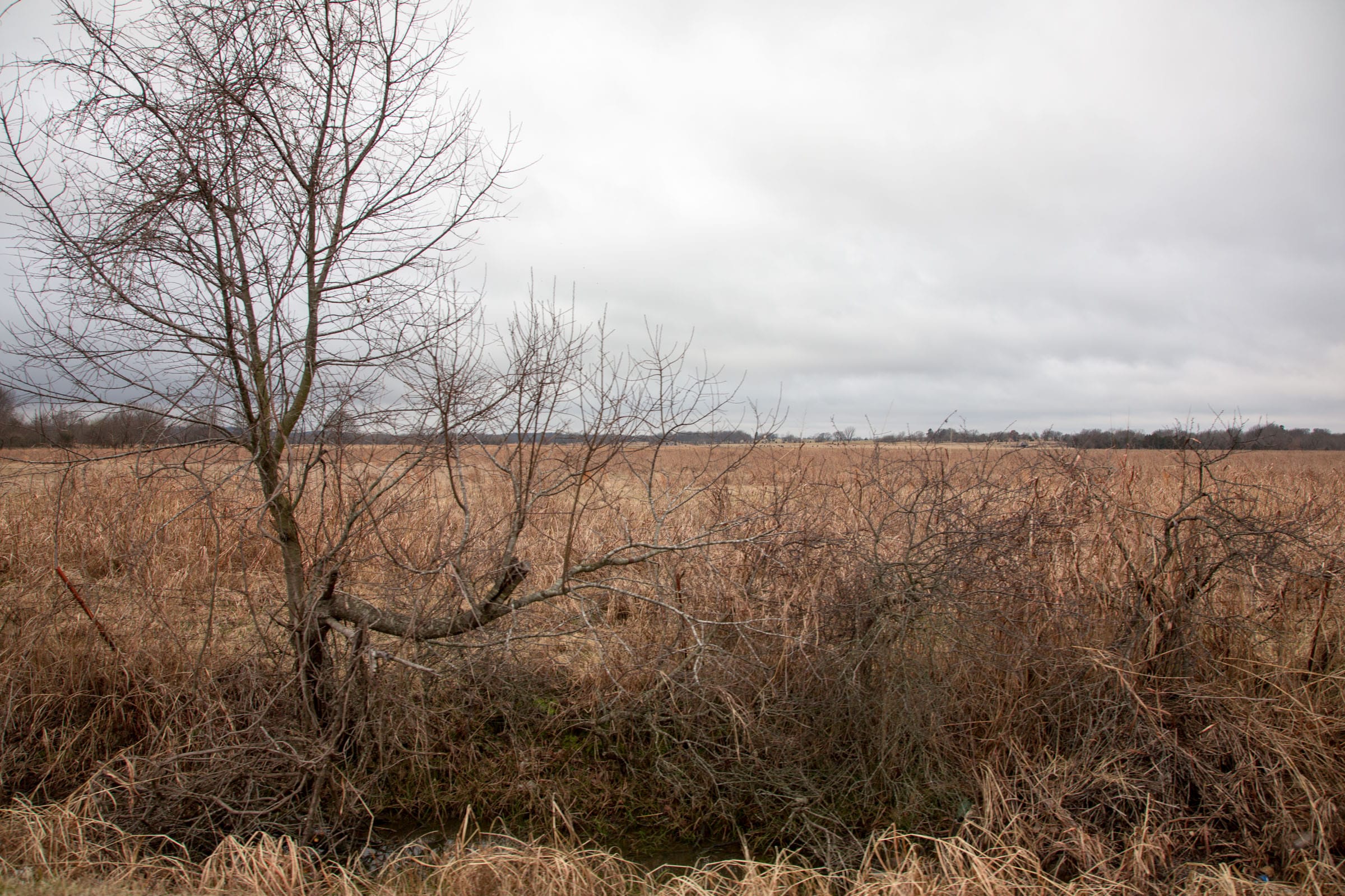 Canadian Plains Tract 11 photo 11