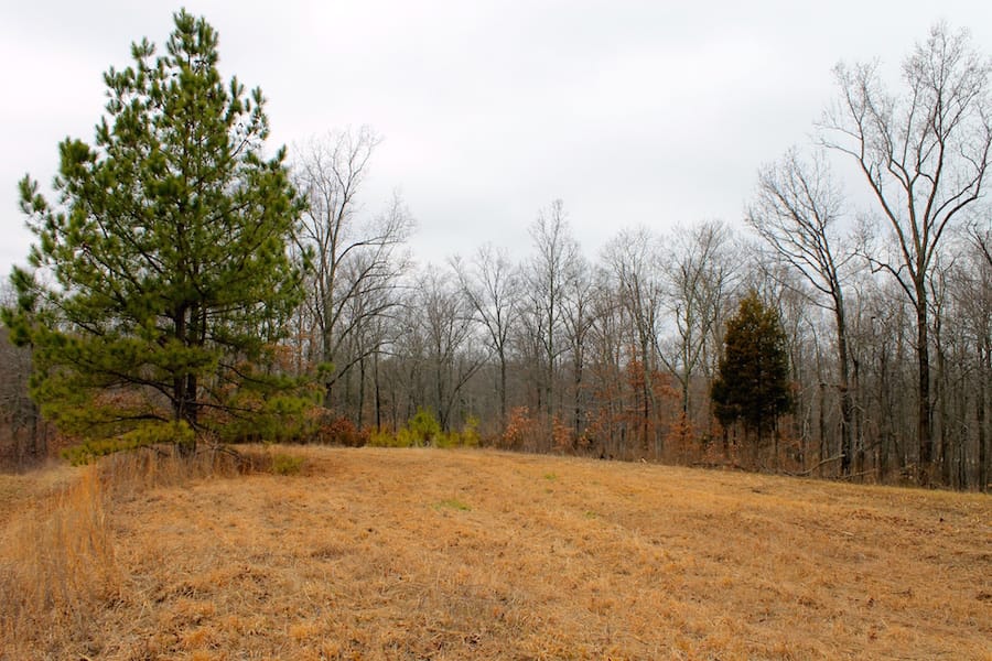 The Tennessean Tract 54 photo 2