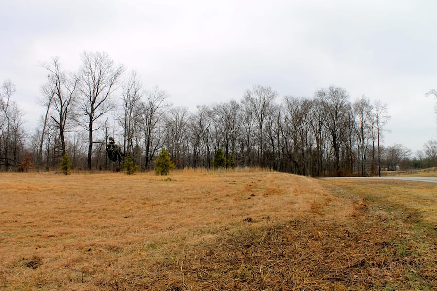 The Tennessean Tract 54 photo 3