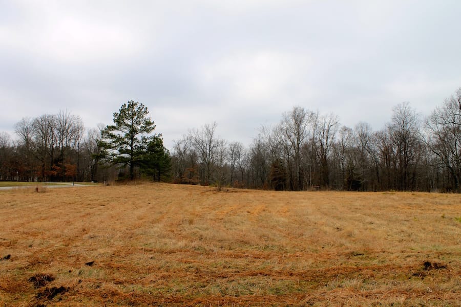 The Tennessean Tract 54 photo 5