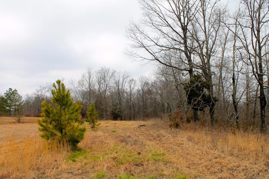 The Tennessean Tract 54 photo 6