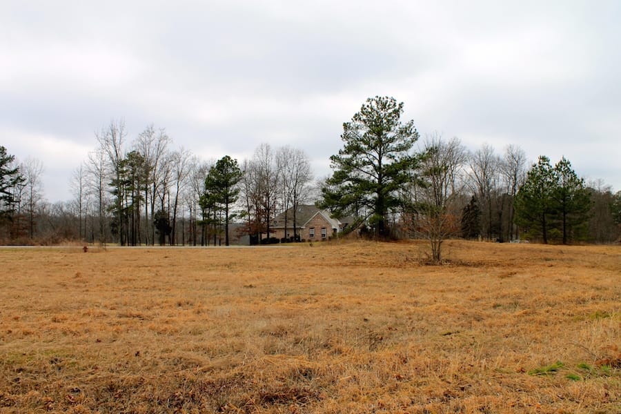 The Tennessean Tract 54 photo 9