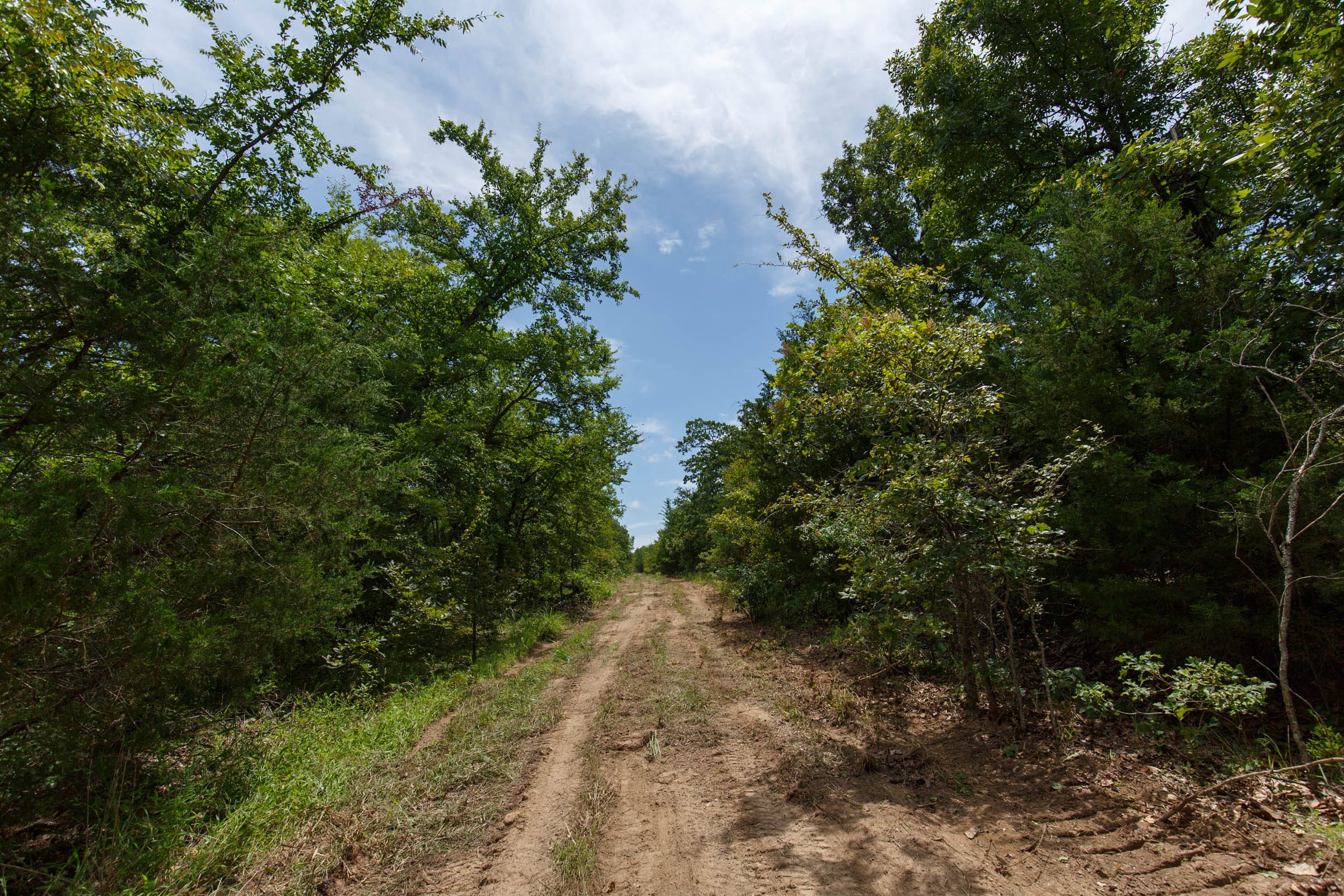 Timber Ridge Tract 41 photo 1