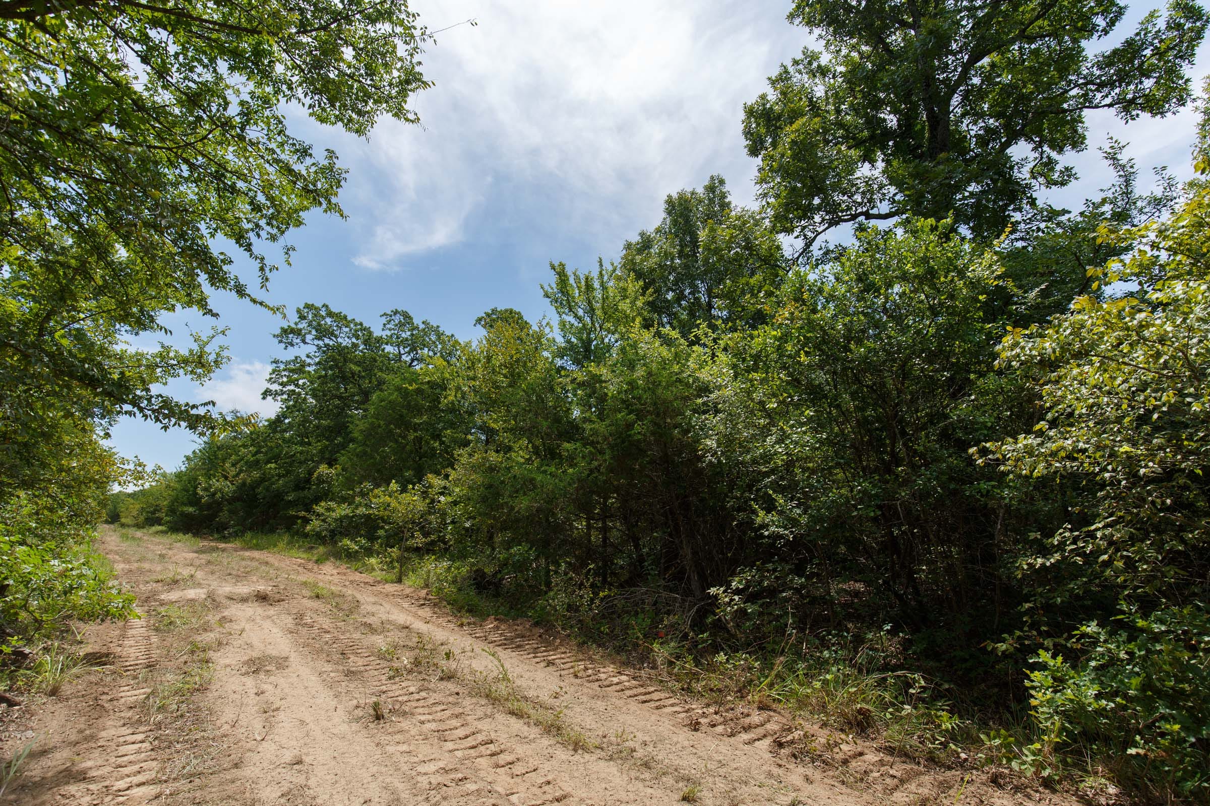 Timber Ridge Tract 41 photo 4