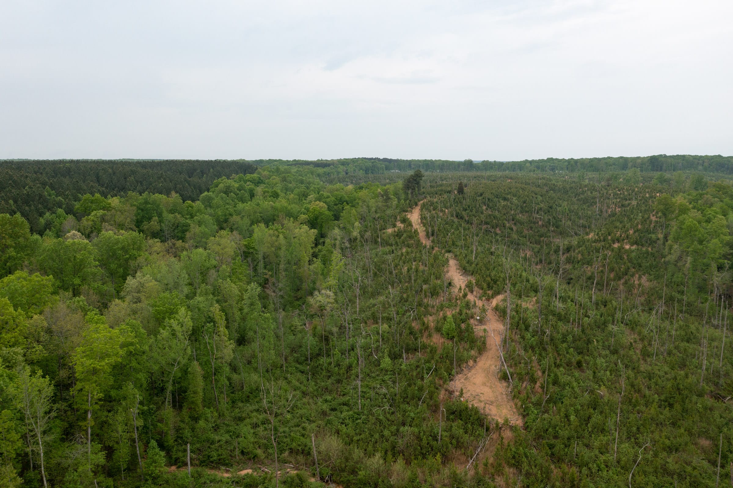 Red Barn Ranch Tract 39 photo 12