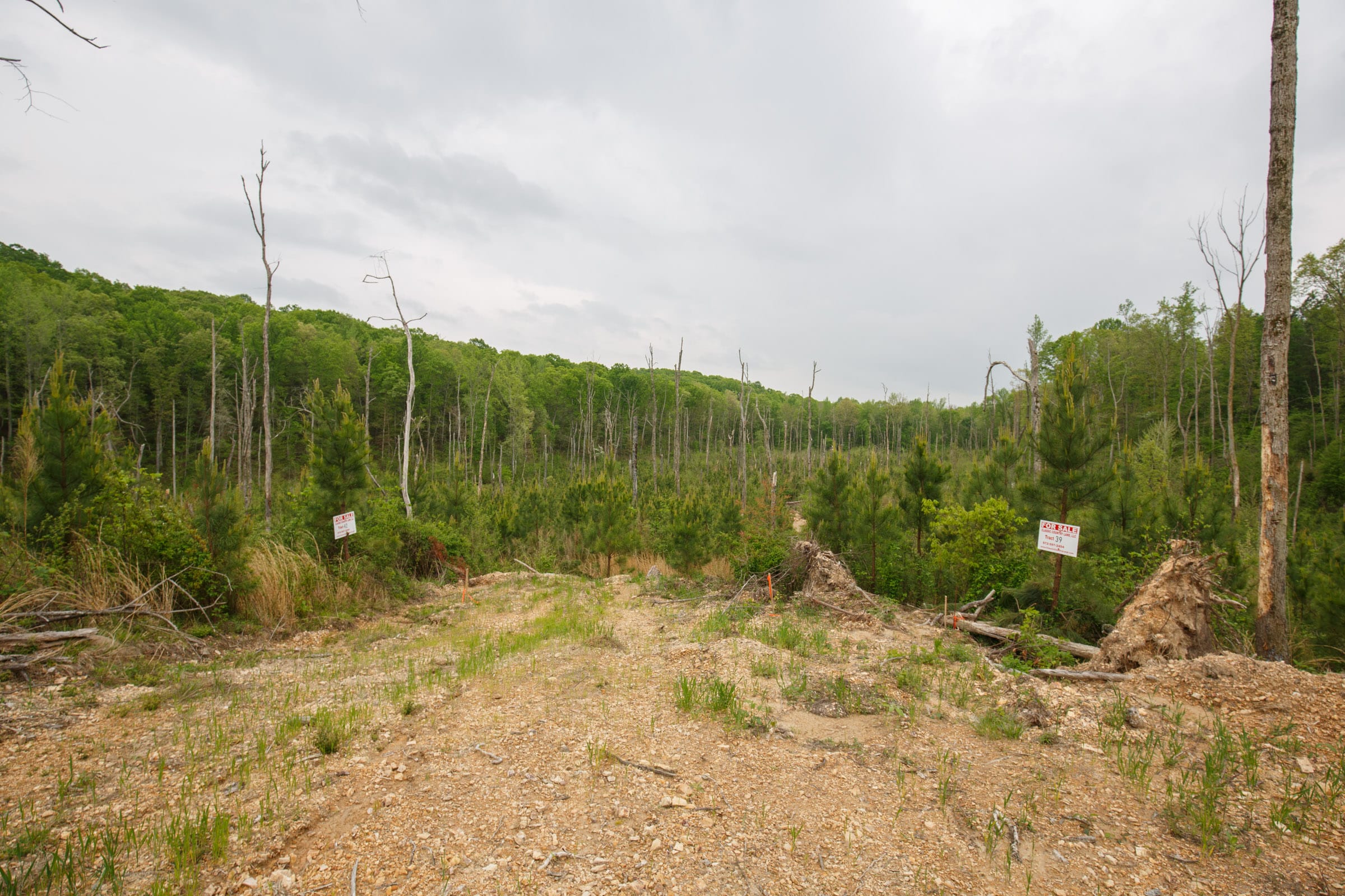 Red Barn Ranch Tract 39 photo 7