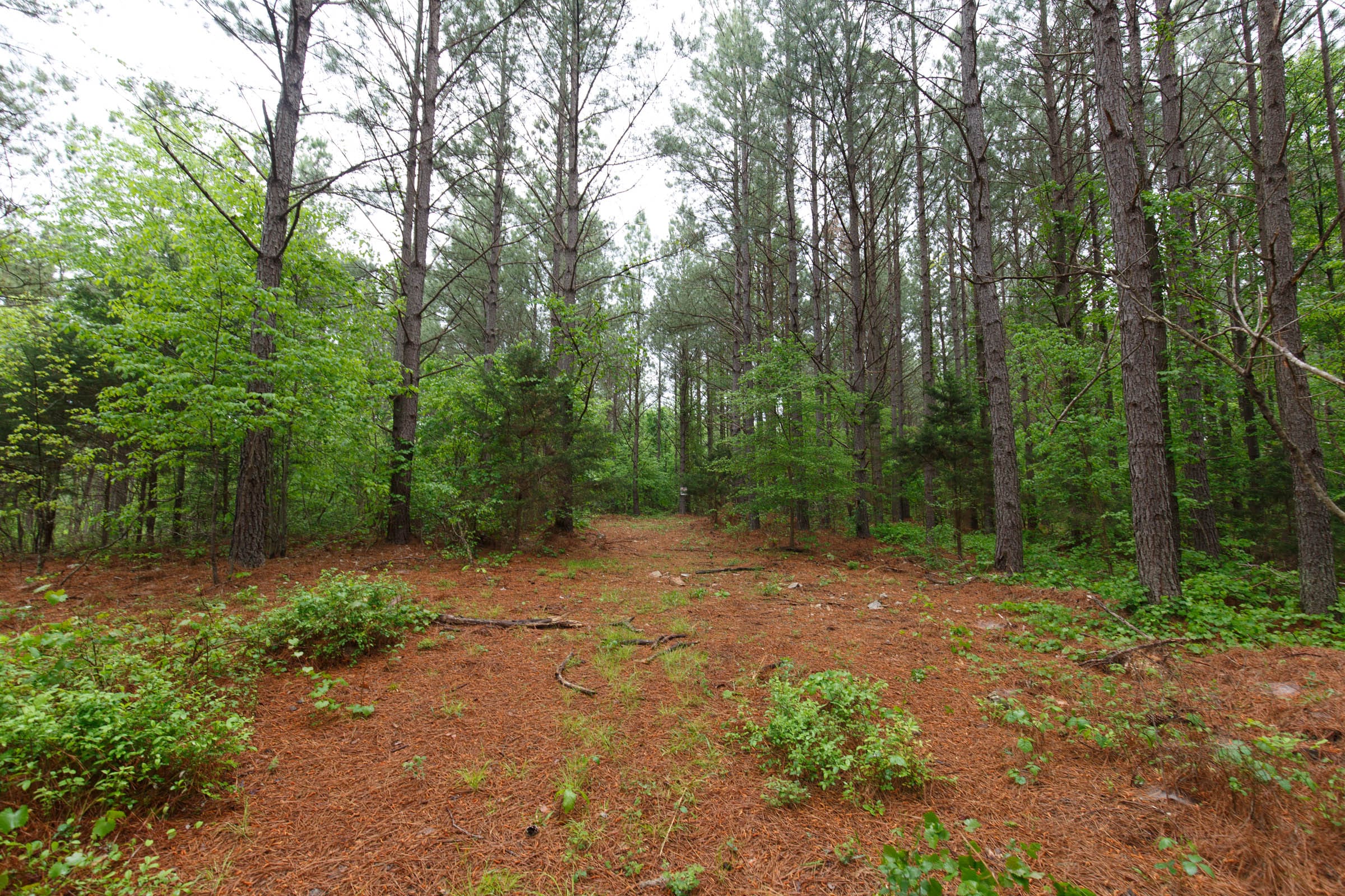 Red Barn Ranch Tract 39 photo 1