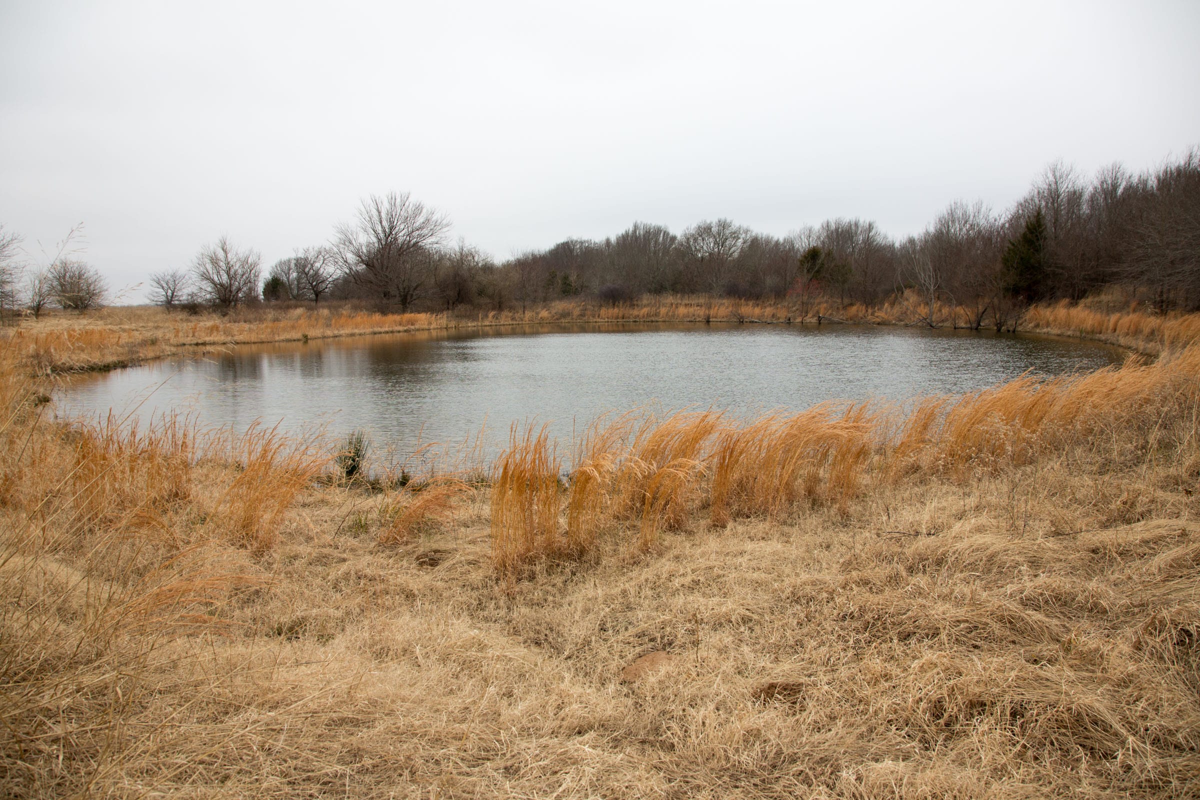 Canadian Plains Tract 19 photo 2