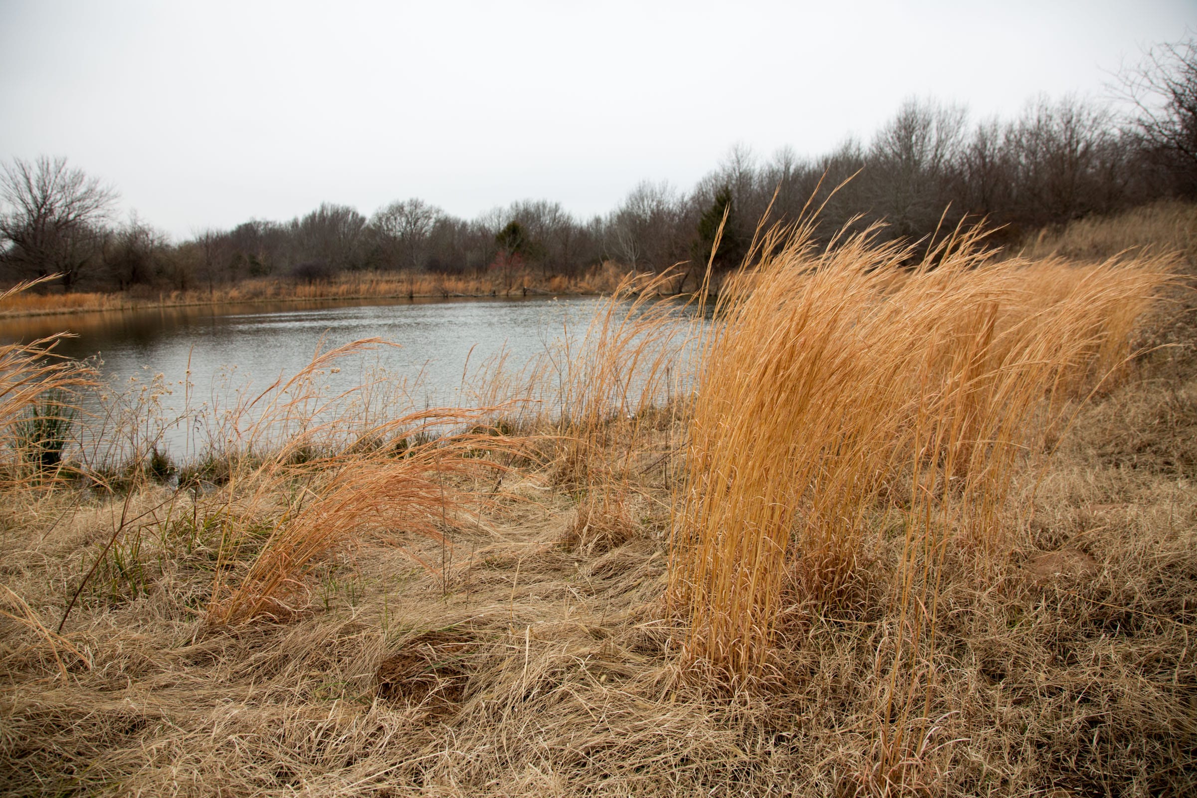 Canadian Plains Tract 19 photo 3