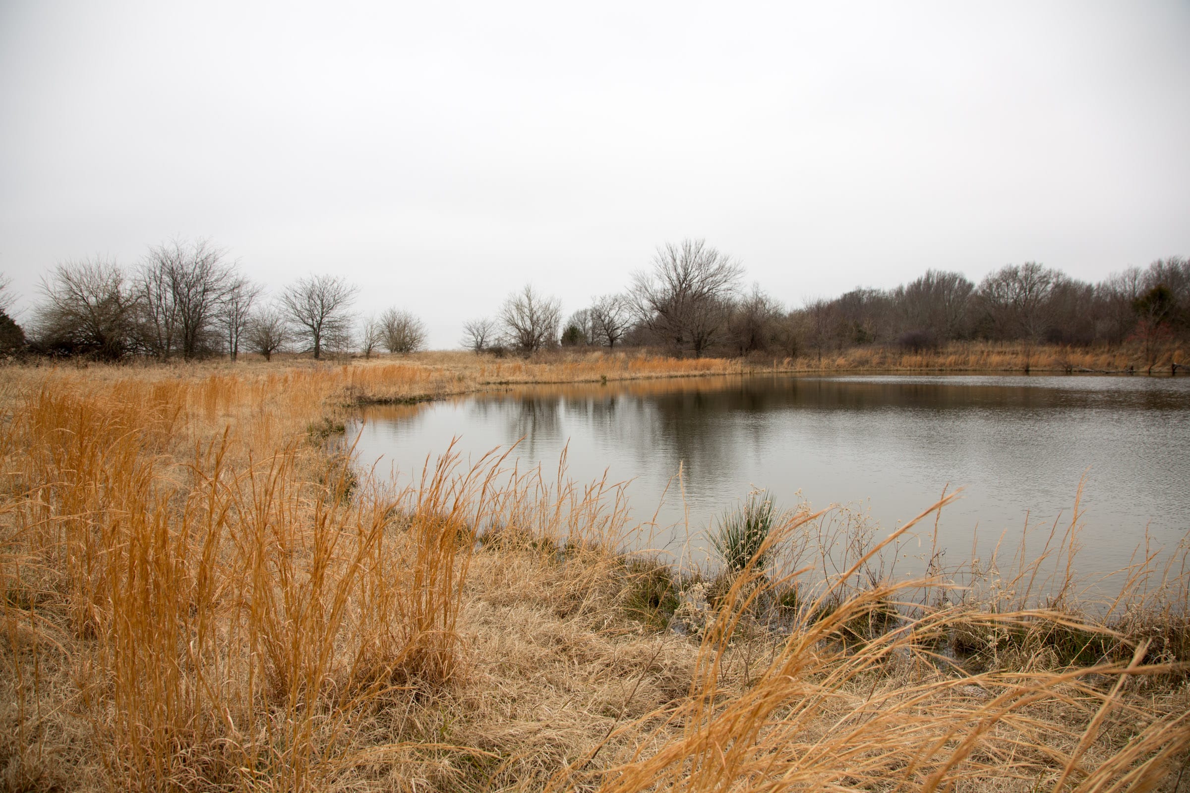 Canadian Plains Tract 19 photo 4