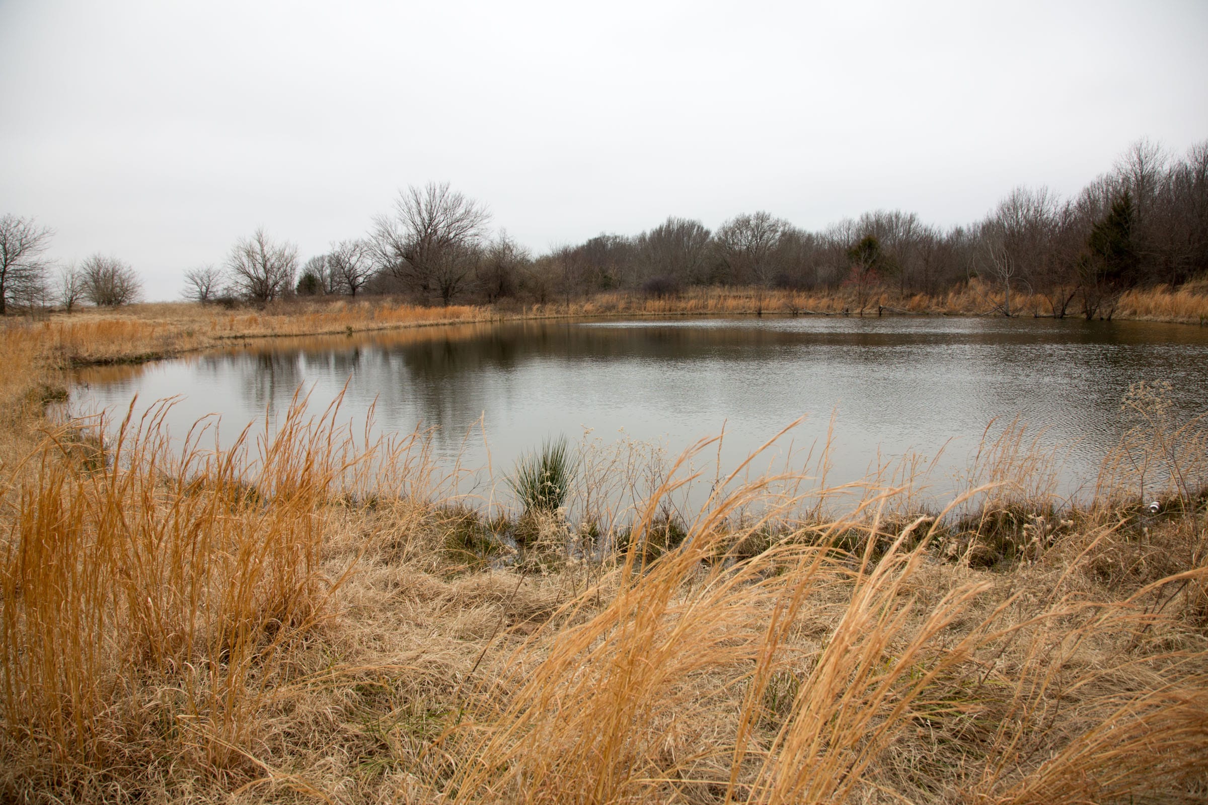 Canadian Plains Tract 19 photo 5