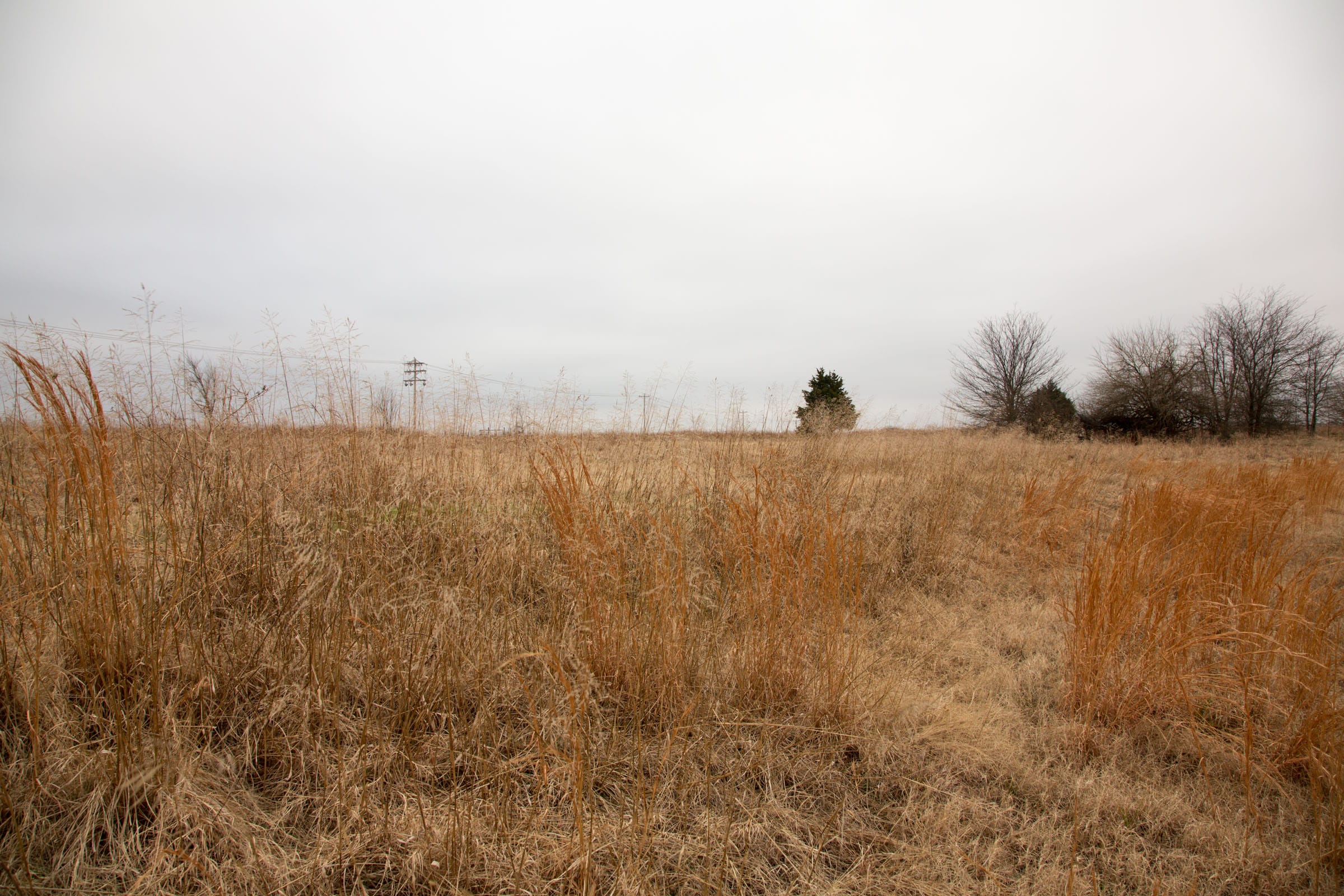 Canadian Plains Tract 19 photo 6