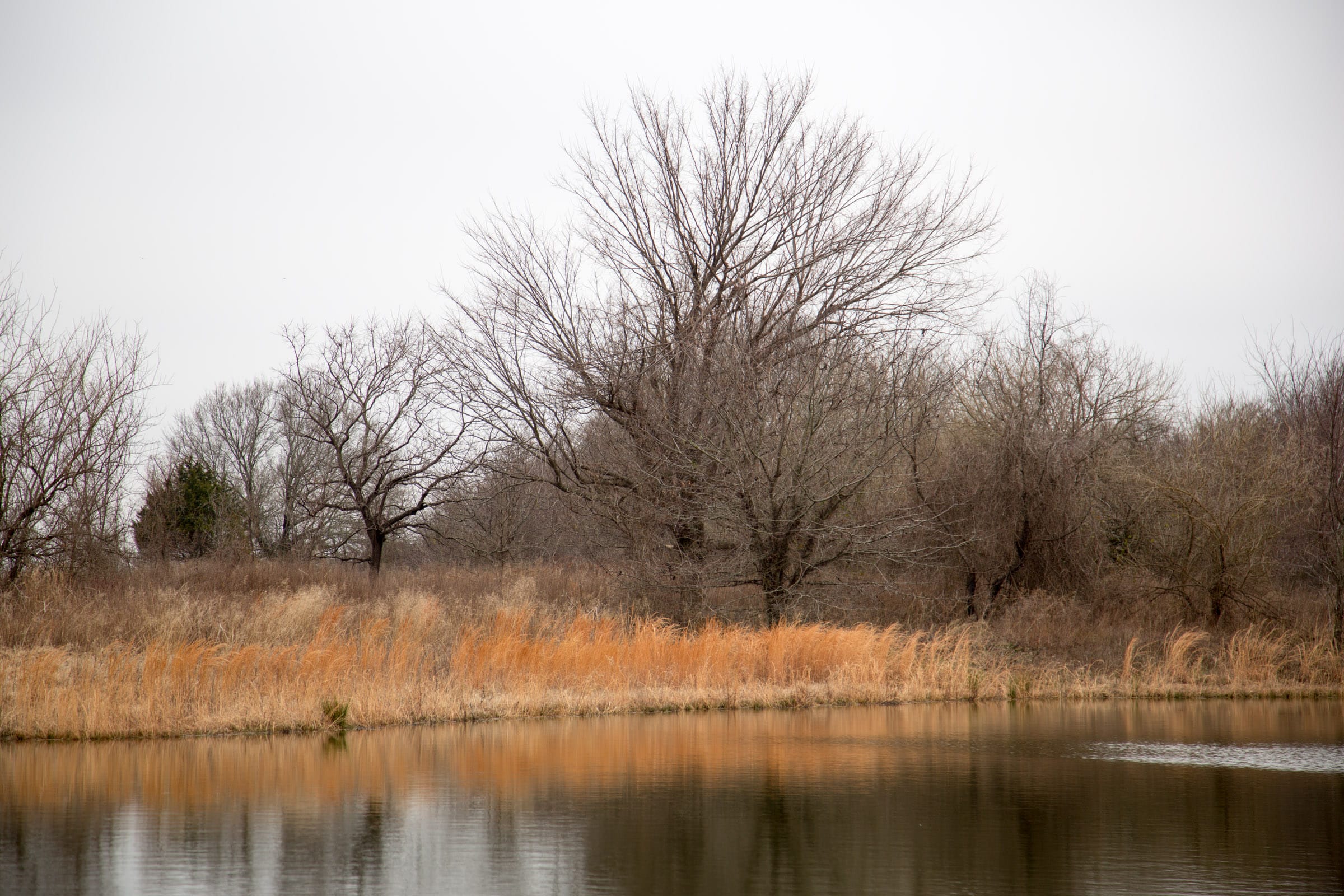 Canadian Plains Tract 19 photo 7
