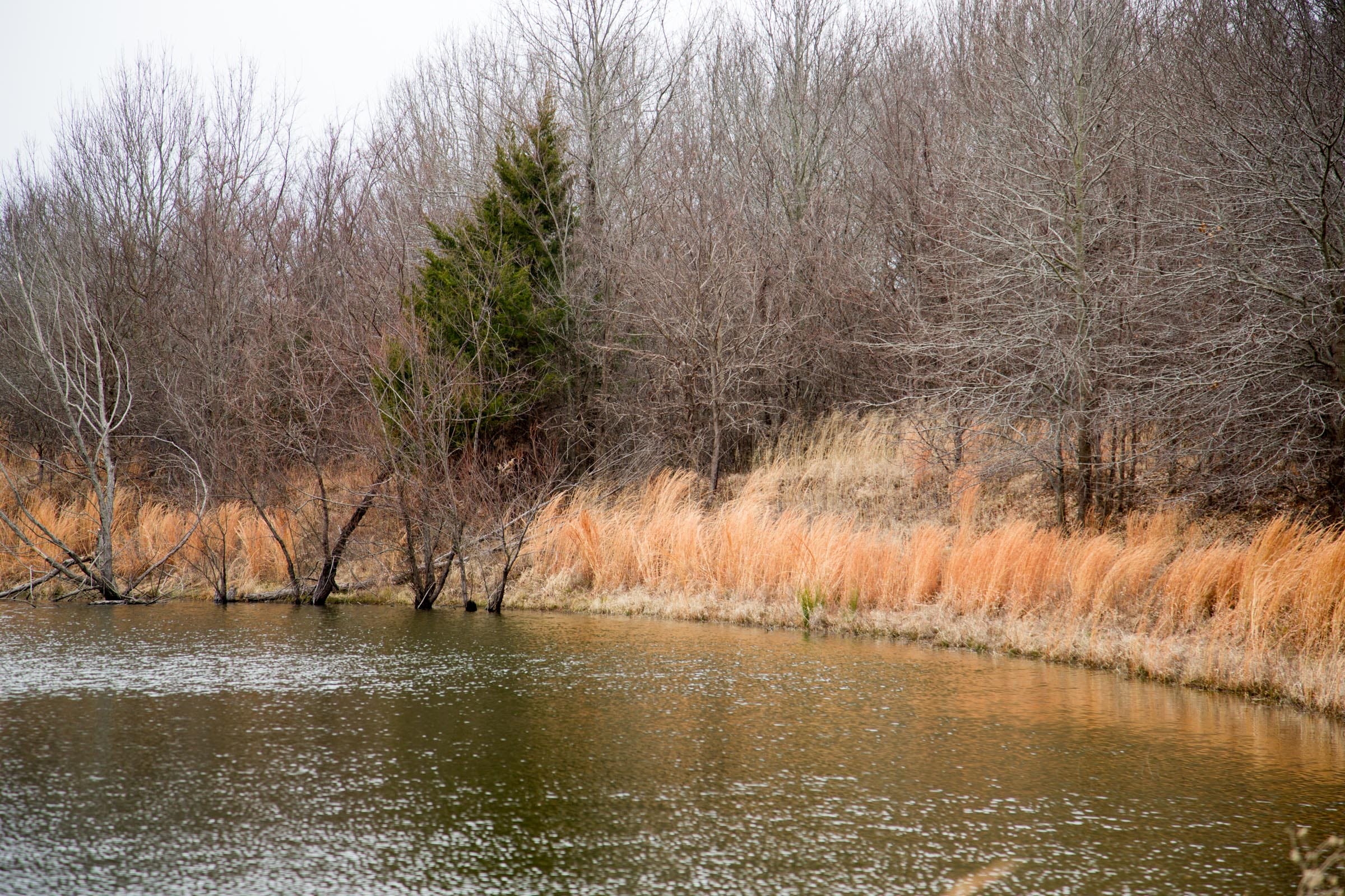 Canadian Plains Tract 19 photo 9