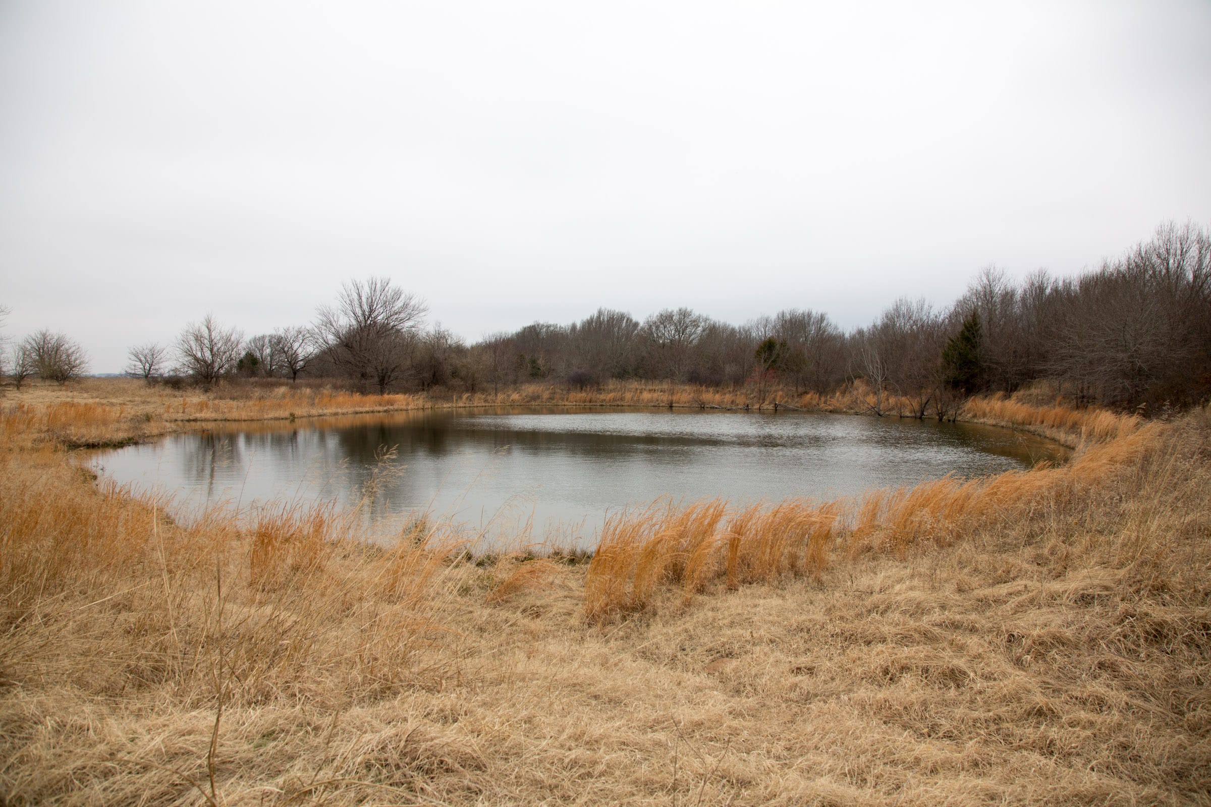 Canadian Plains Tract 19 photo 10