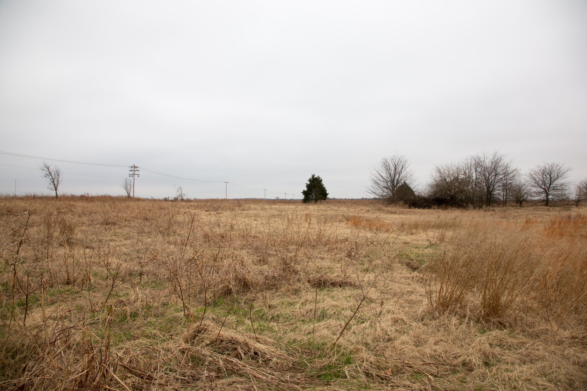 Canadian Plains Tract 19 photo 11