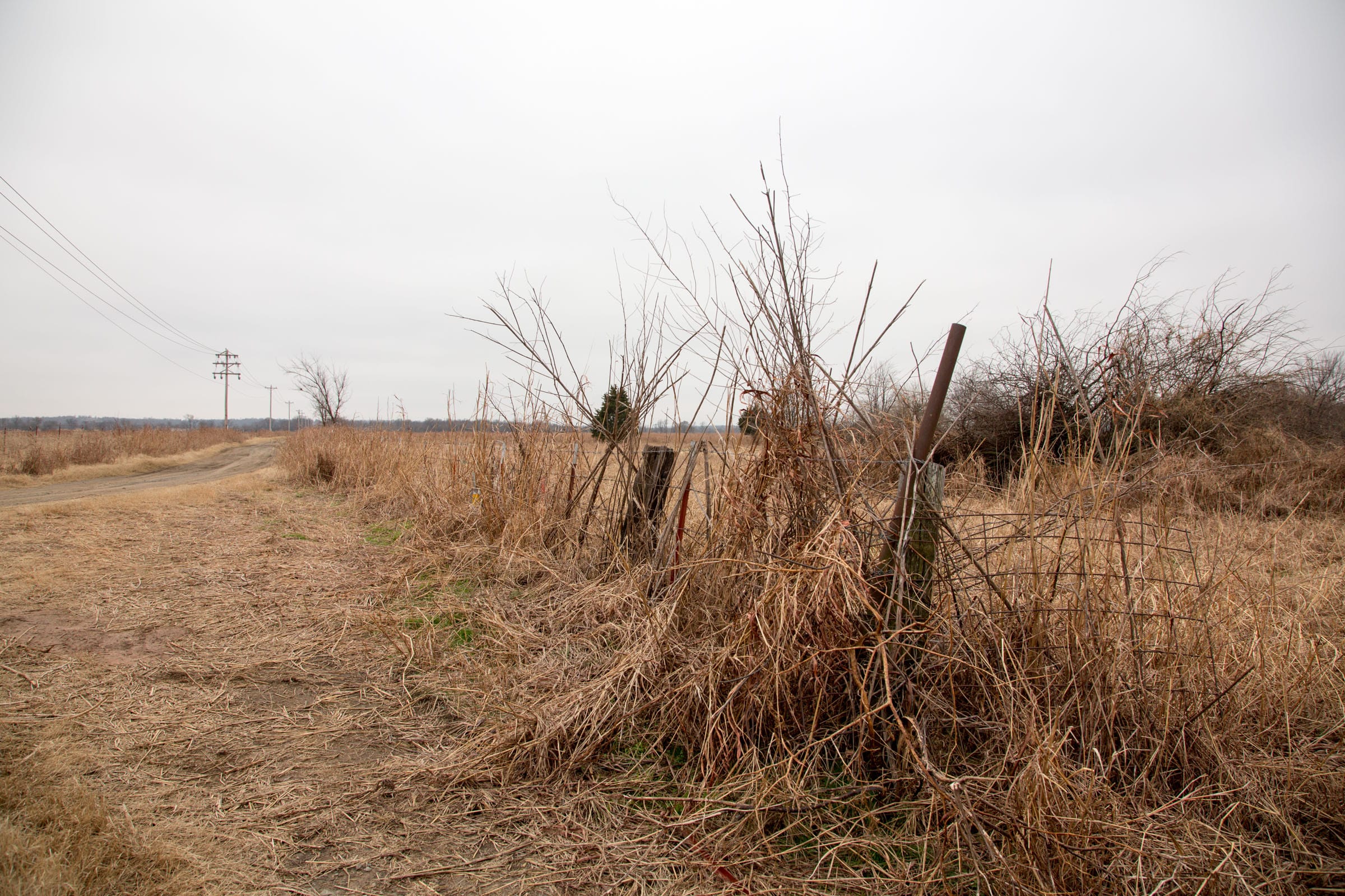 Canadian Plains Tract 19 photo 12