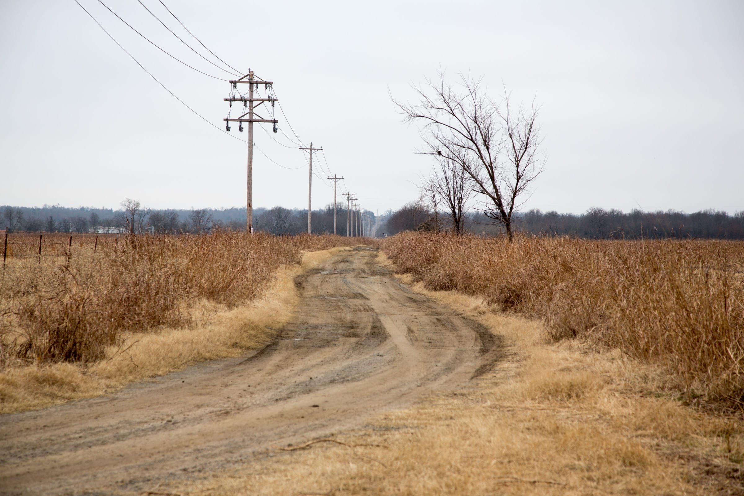 Canadian Plains Tract 19 photo 8