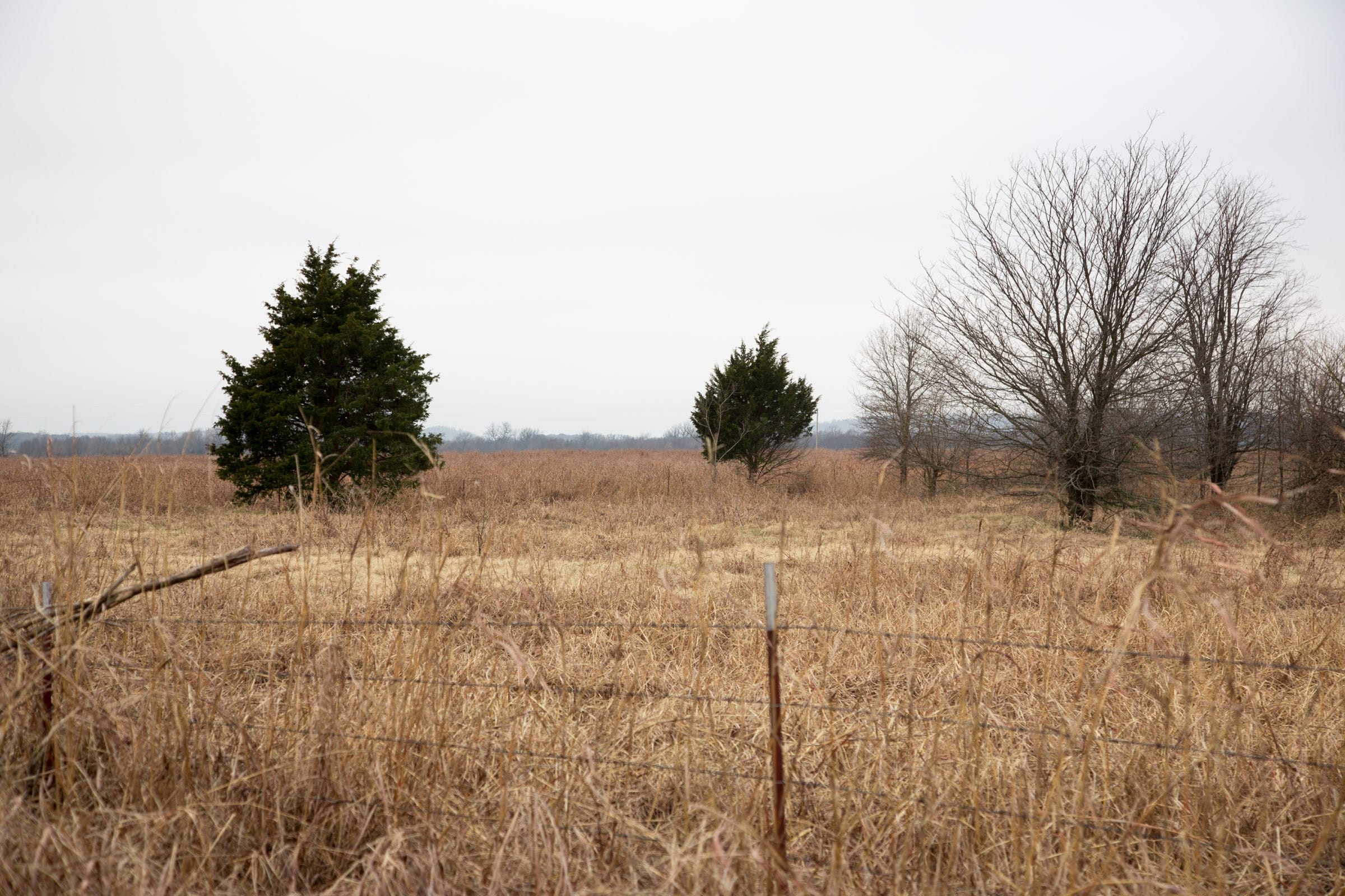 Canadian Plains Tract 19 photo 13