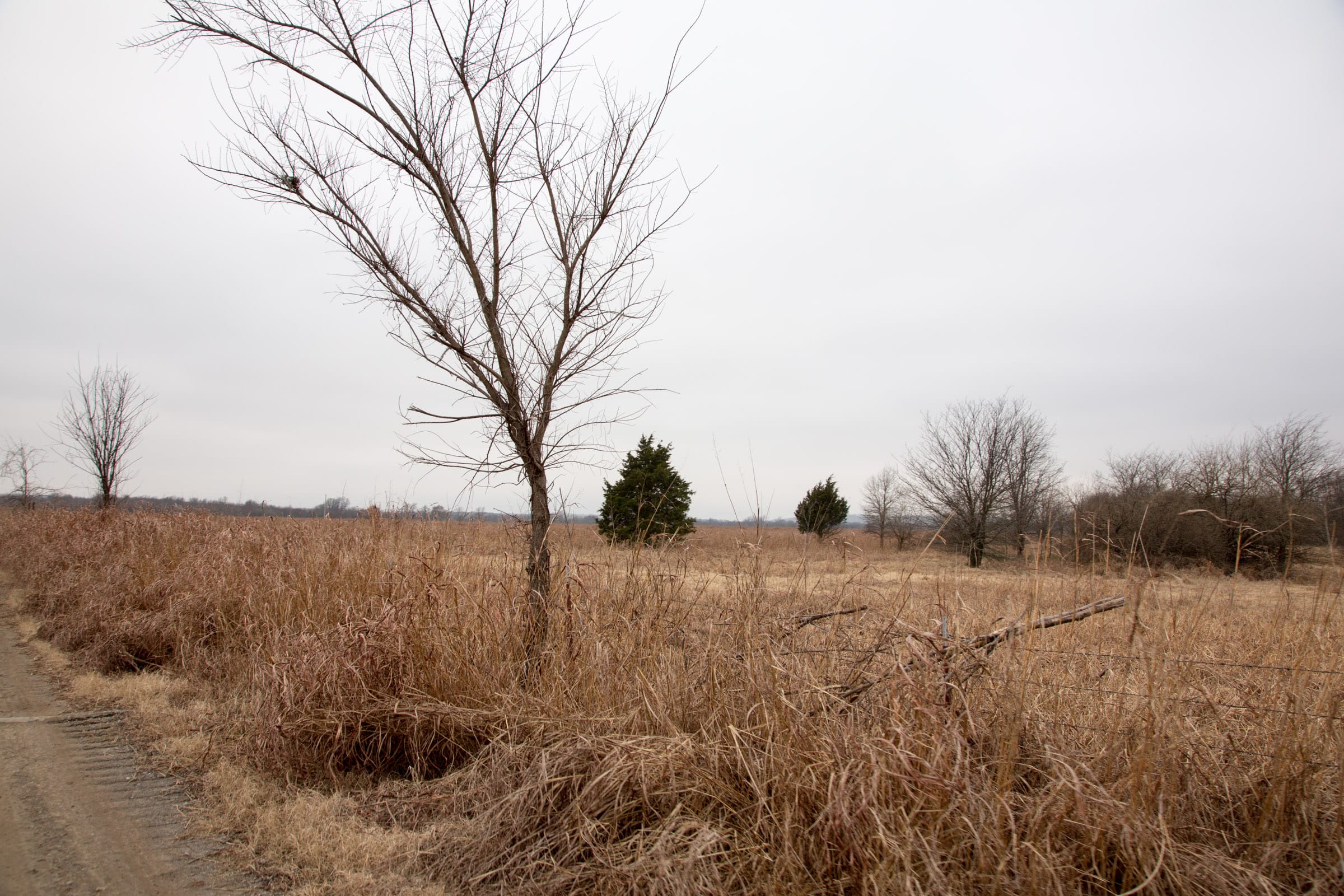Canadian Plains Tract 19 photo 14
