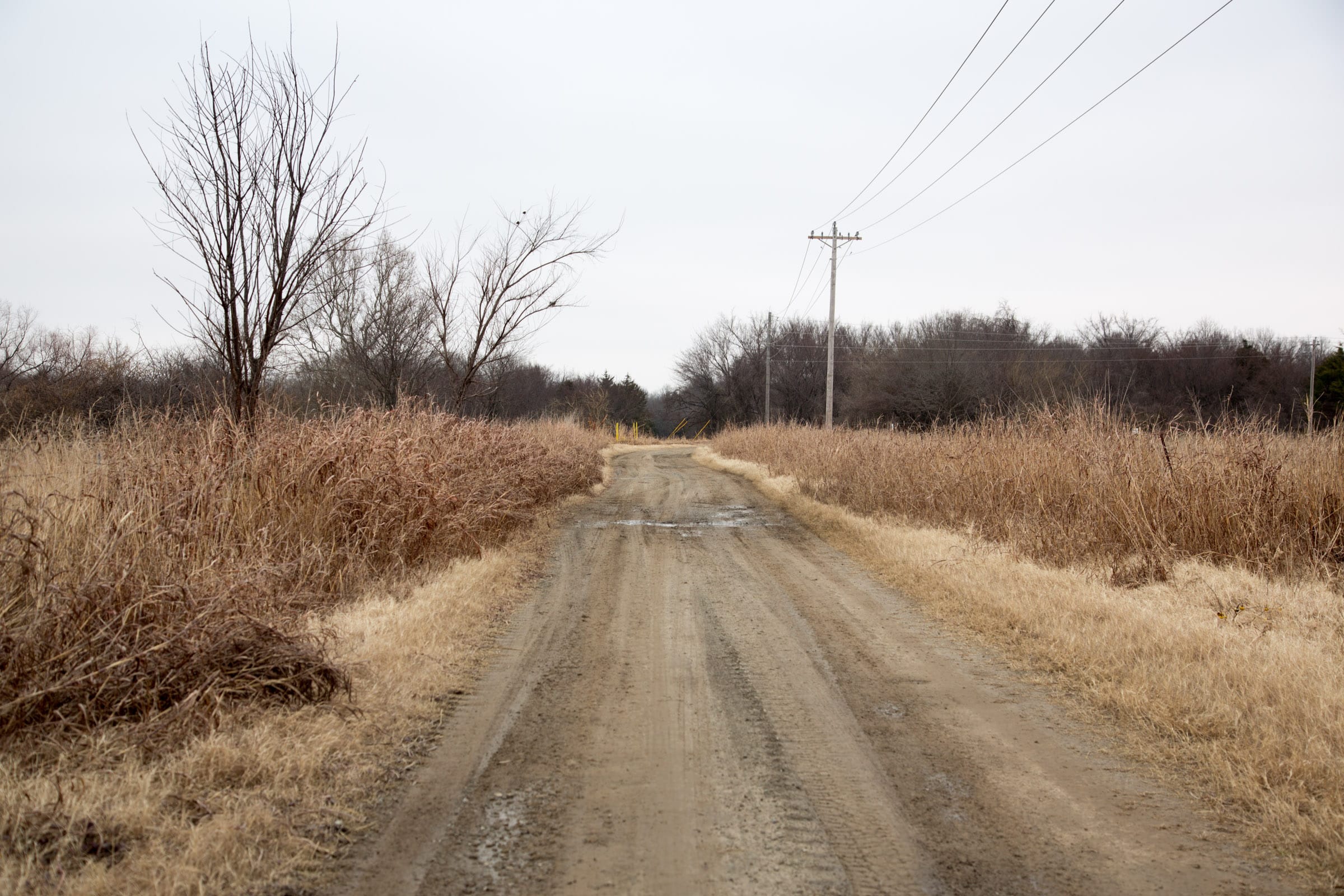 Canadian Plains Tract 19 photo 1