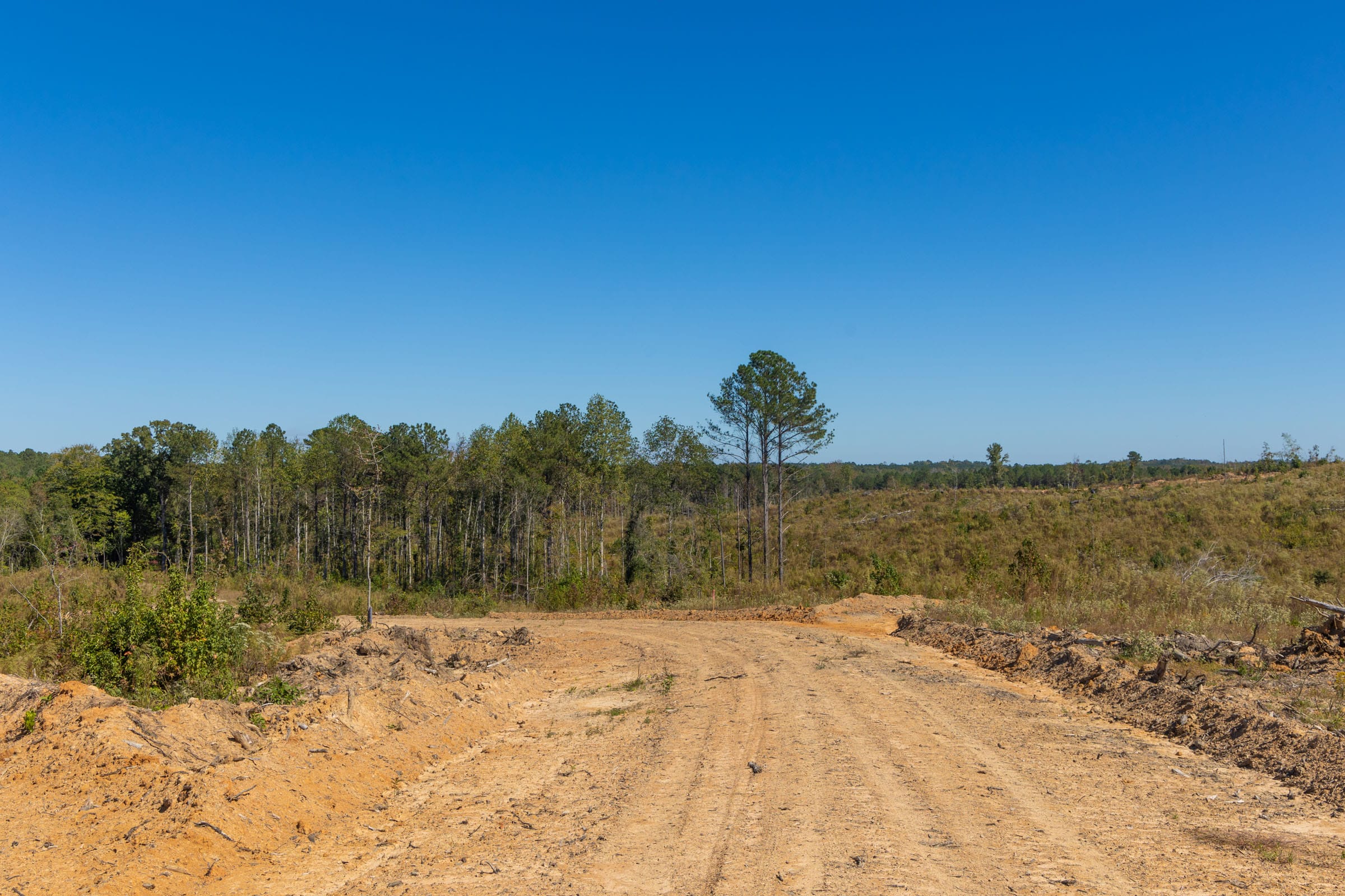 Meyer’s Ridge Tract 18 photo 3