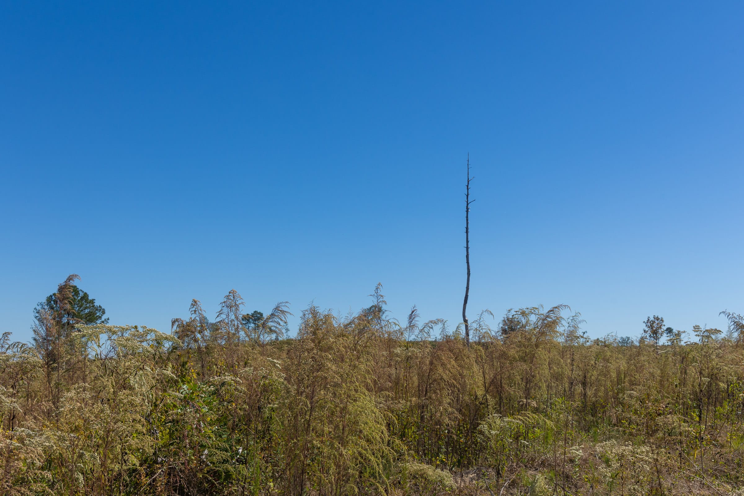 Meyer’s Ridge Tract 18 photo 12