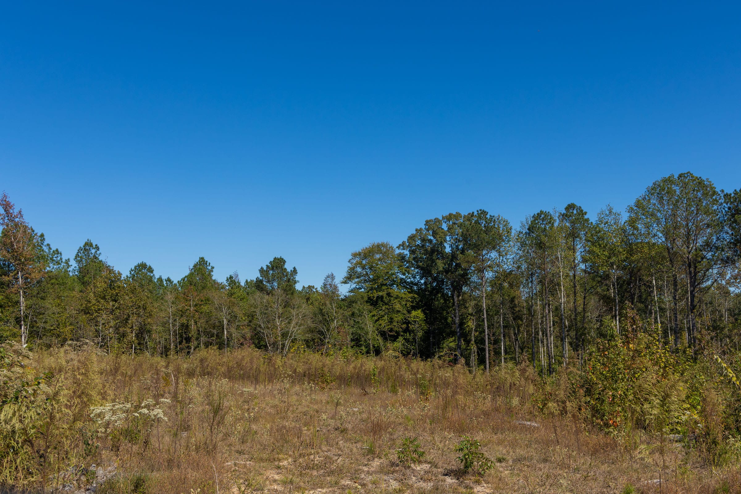 Meyer’s Ridge Tract 18 photo 11