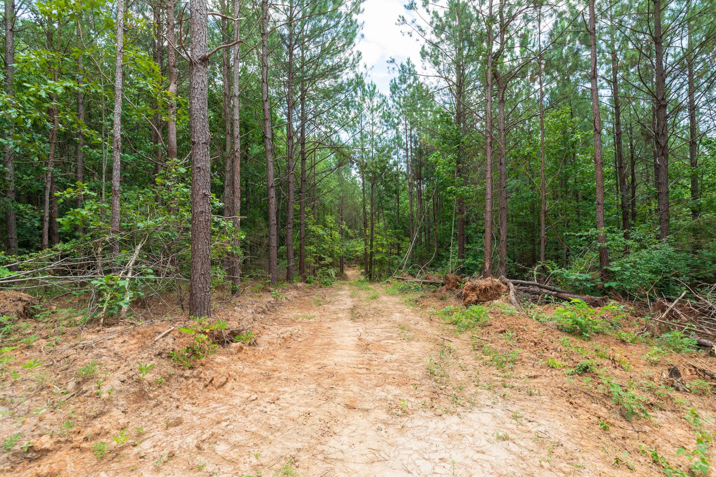 Whiskey Ridge Tract 7 photo 2