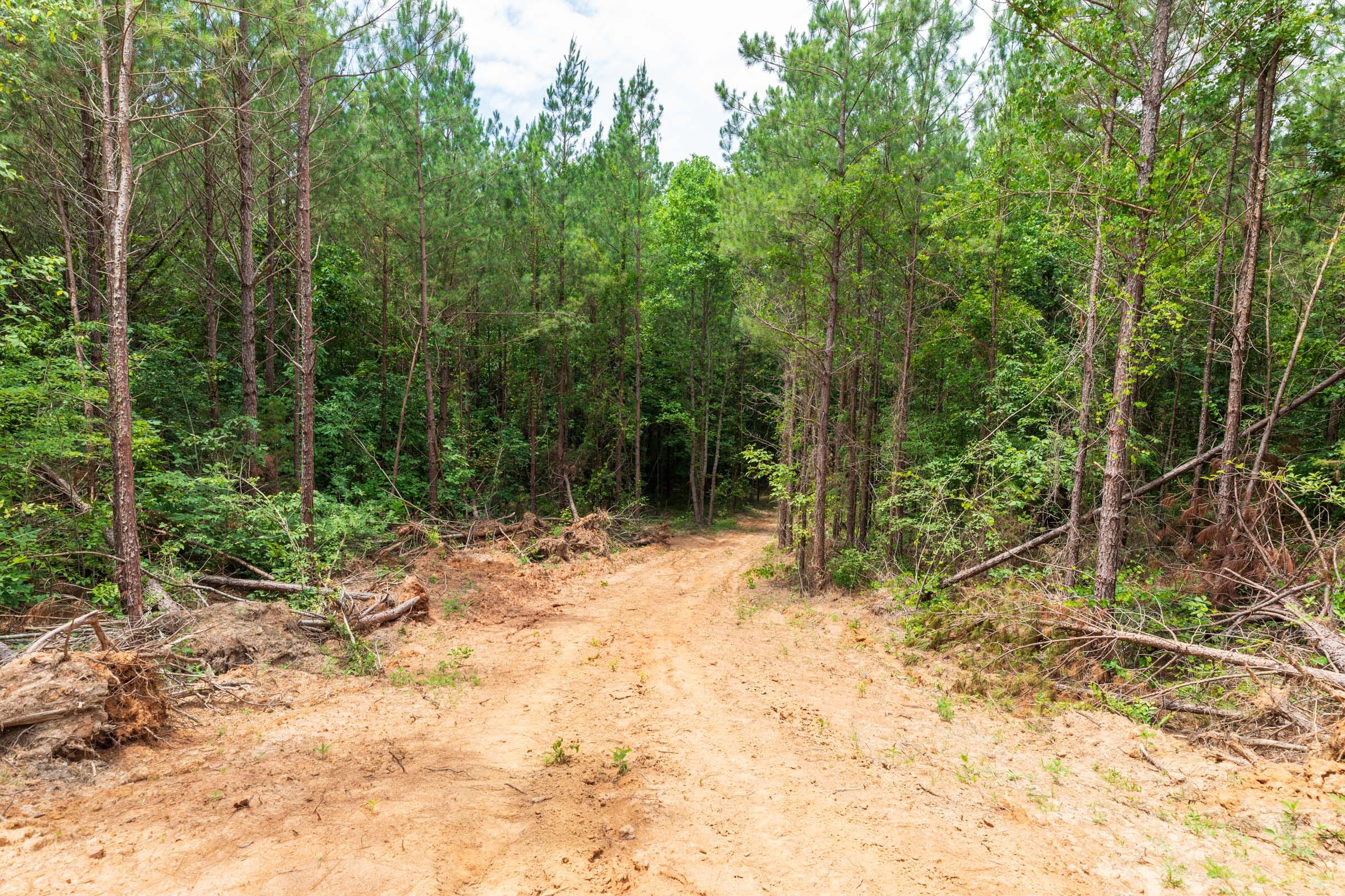 Whiskey Ridge Tract 7 photo 5