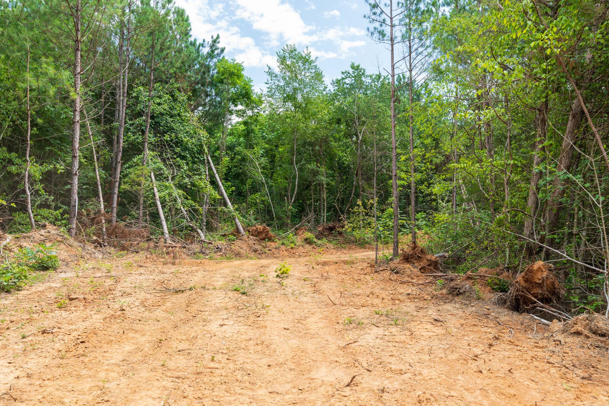 Whiskey Ridge Tract 7 photo 7