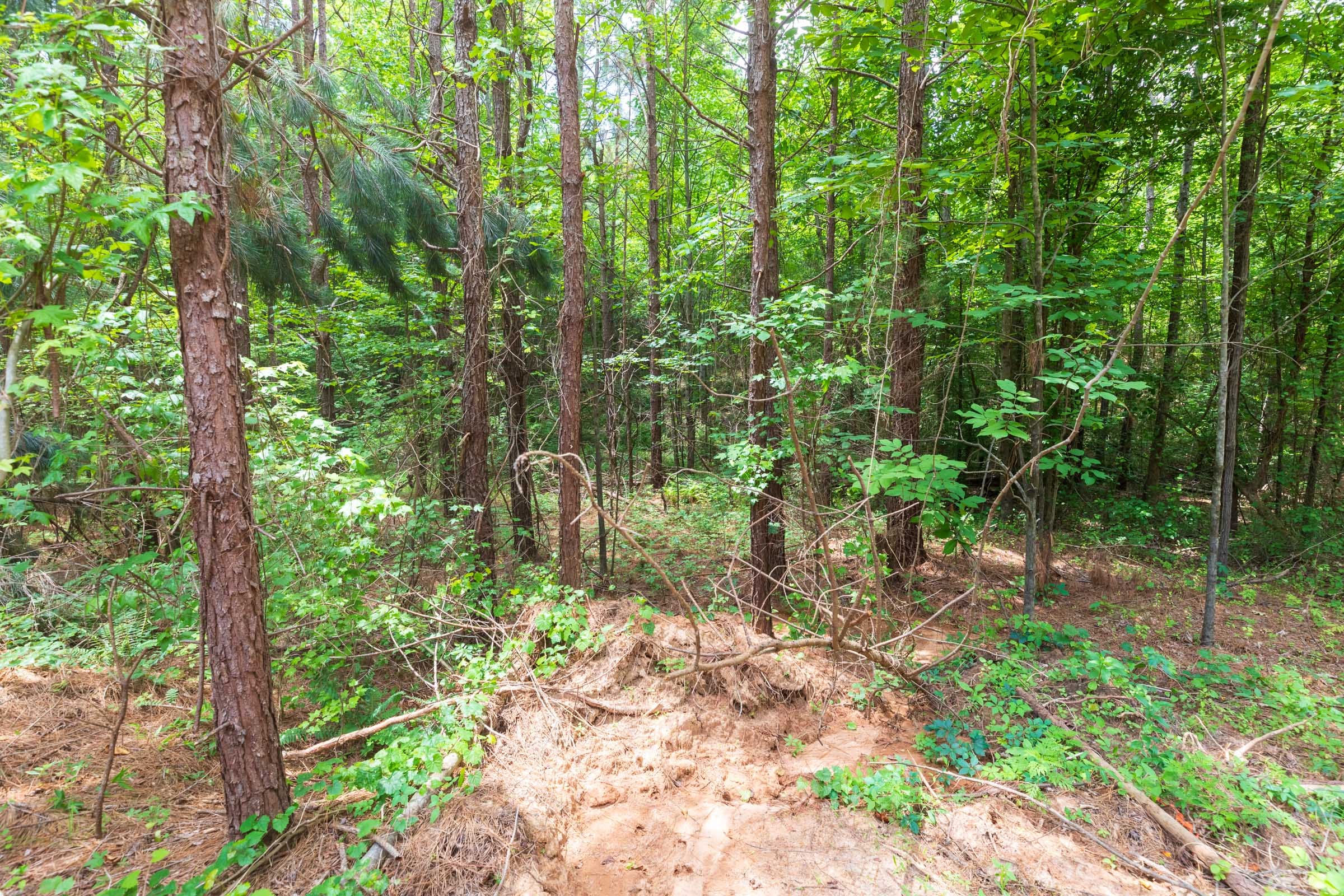 Whiskey Ridge Tract 7 photo 4