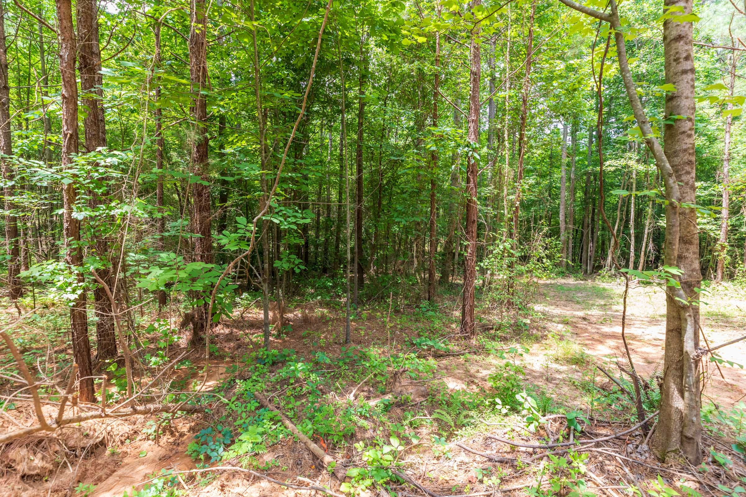 Whiskey Ridge Tract 7 photo 6