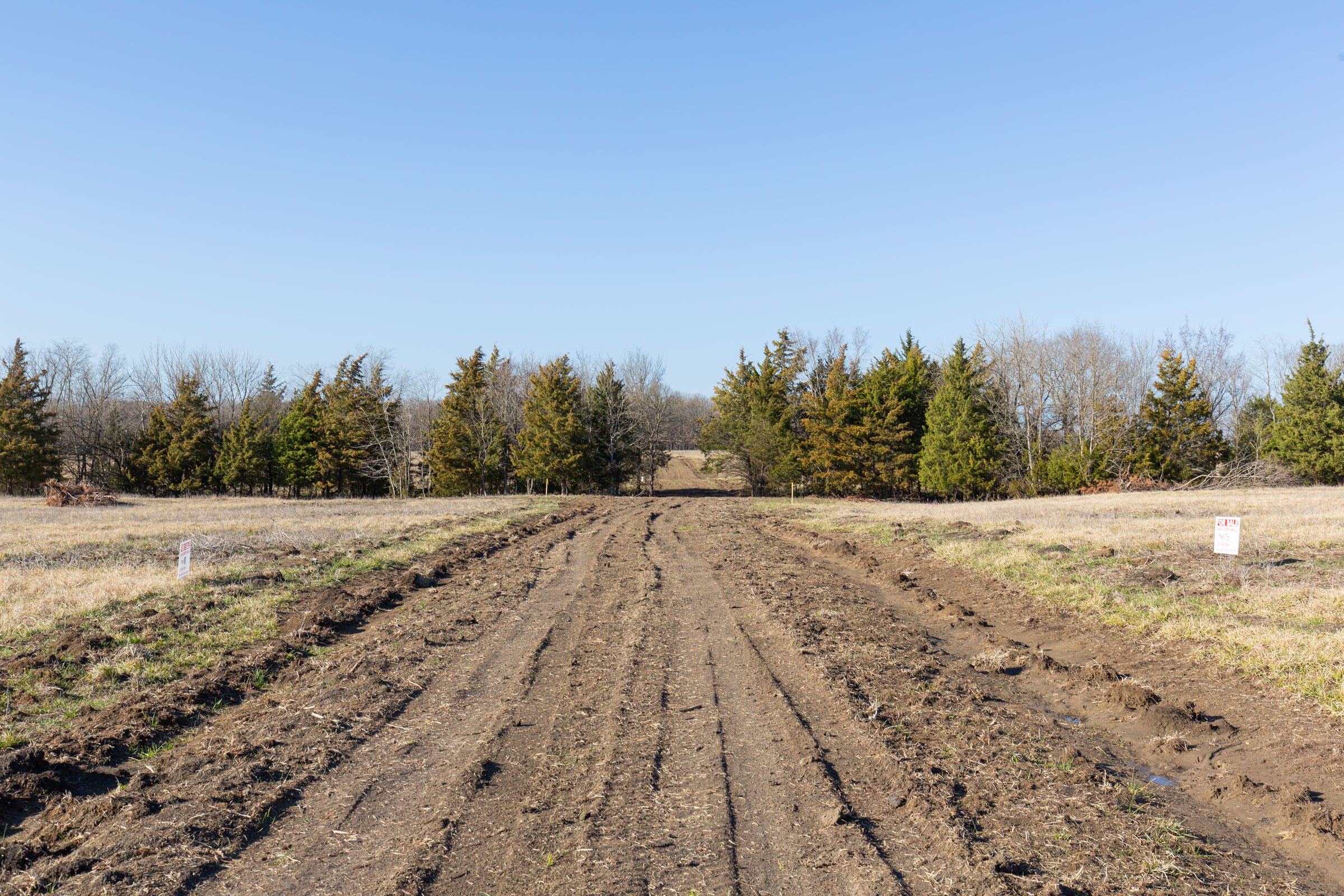 Wishing Star Ranch Tract 76 photo 6