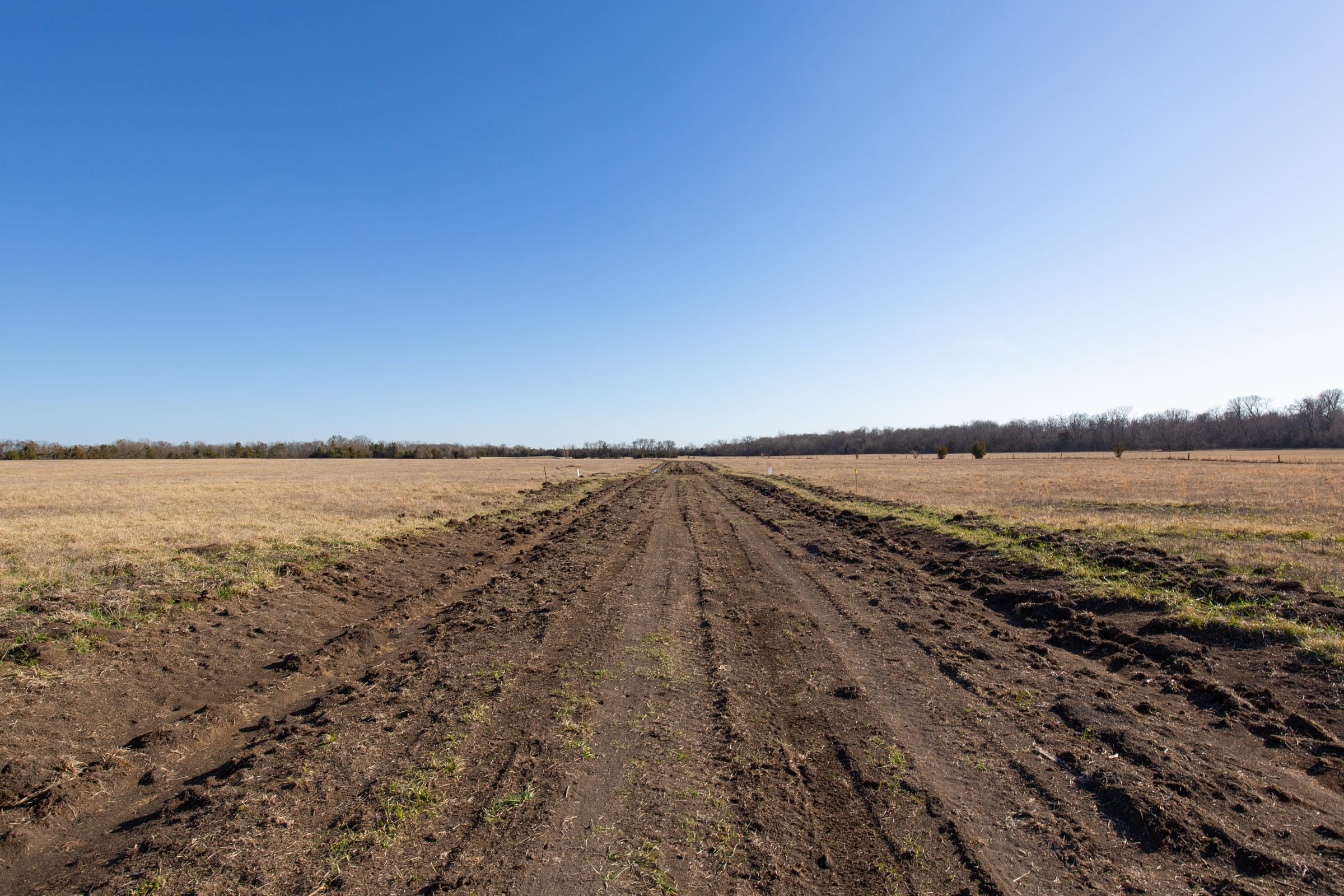 Wishing Star Ranch Tract 76 photo 10